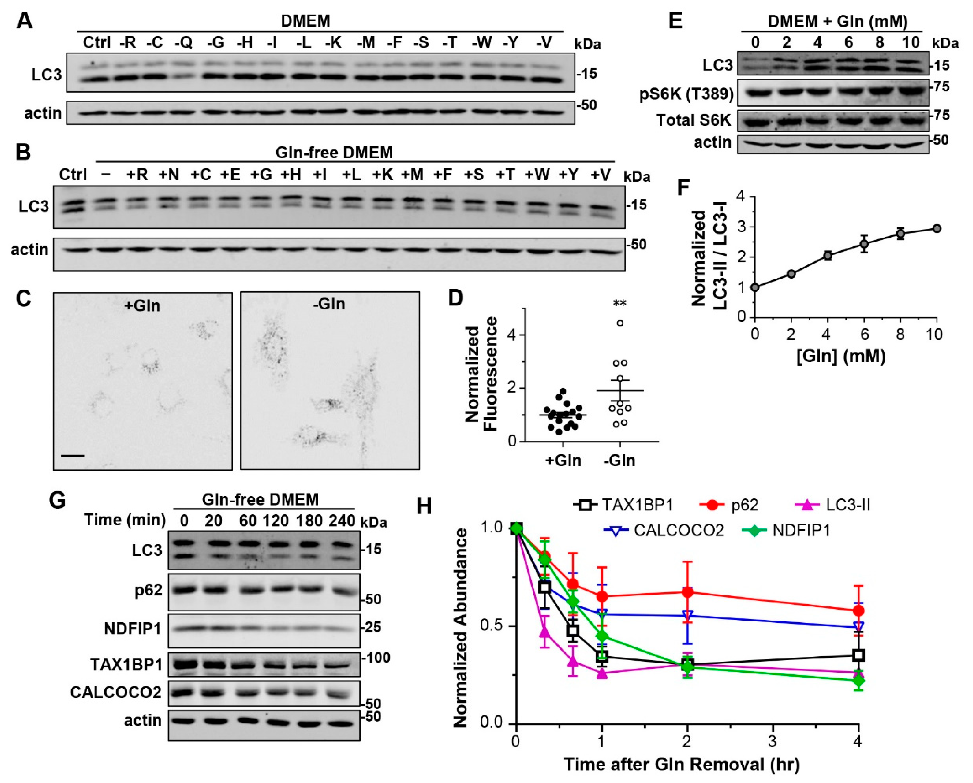 Cells 12 00080 g002 Cells 12 00080 g002