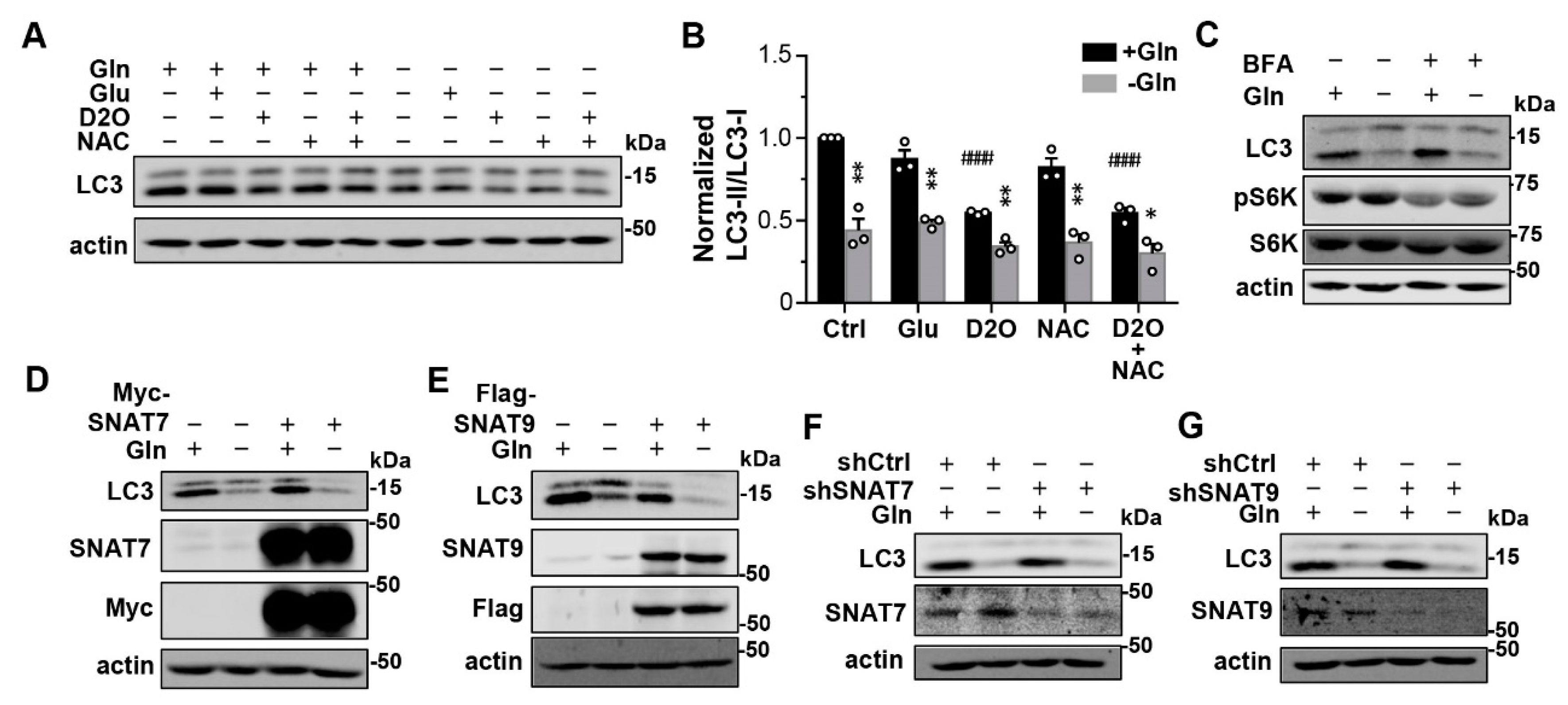 Cells 12 00080 g003 Cells 12 00080 g003