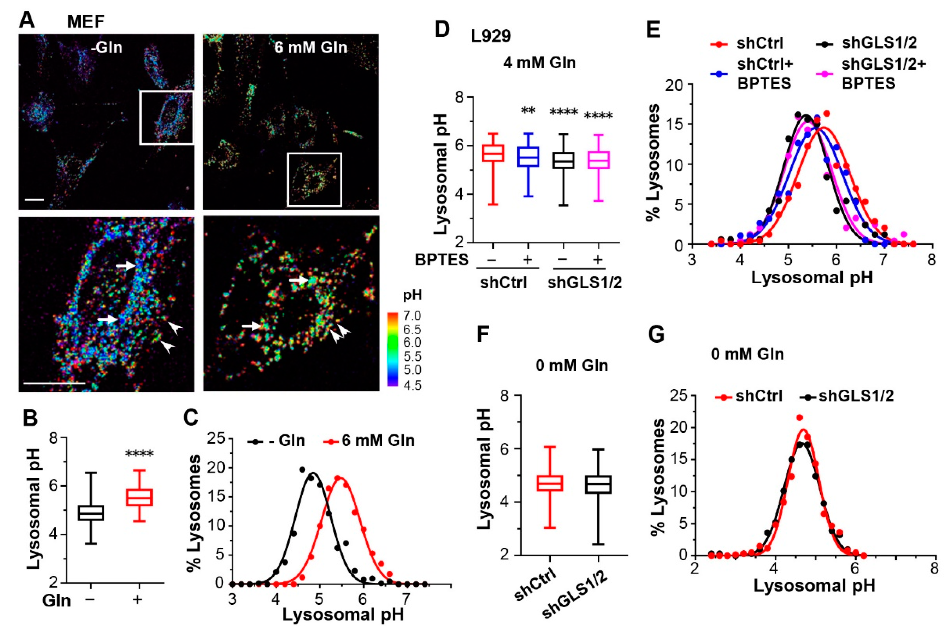 Cells 12 00080 g004 Cells 12 00080 g004