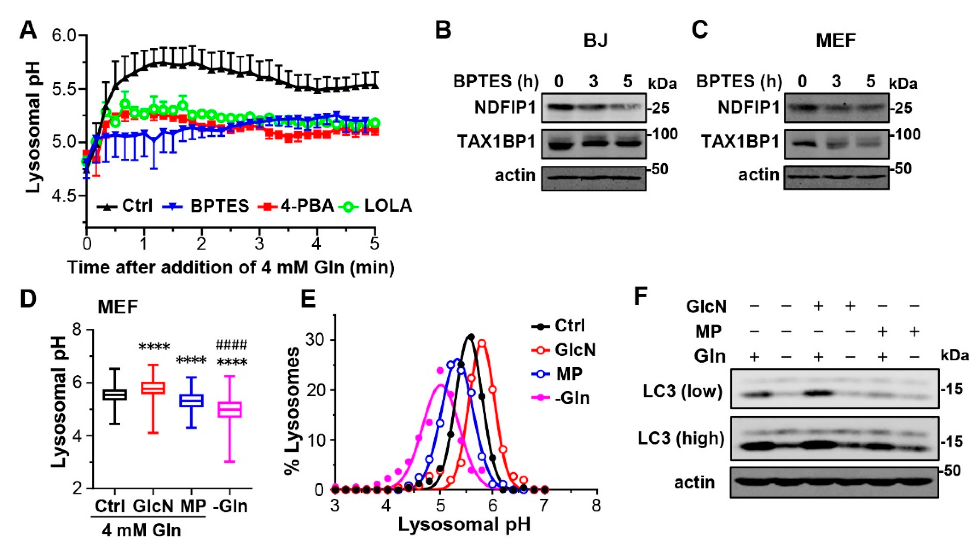 Cells 12 00080 g005 Cells 12 00080 g005