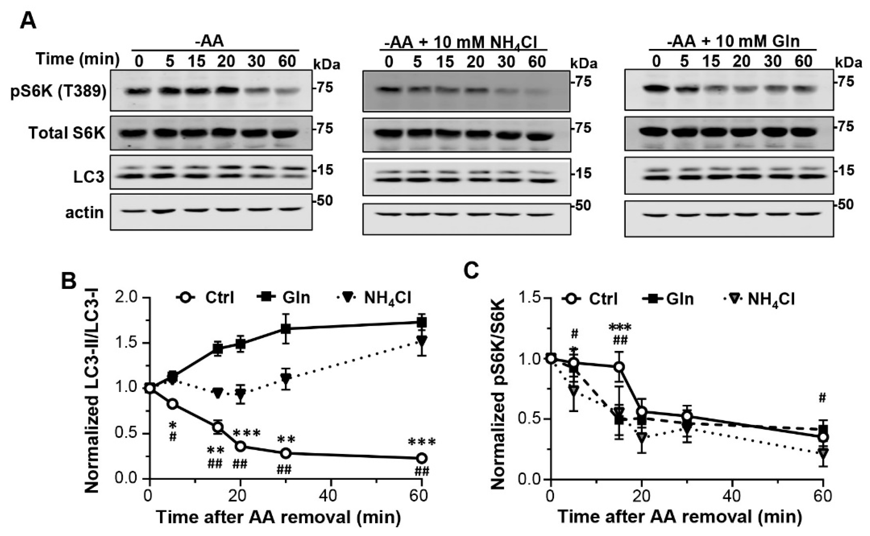 Cells 12 00080 g006 Cells 12 00080 g006
