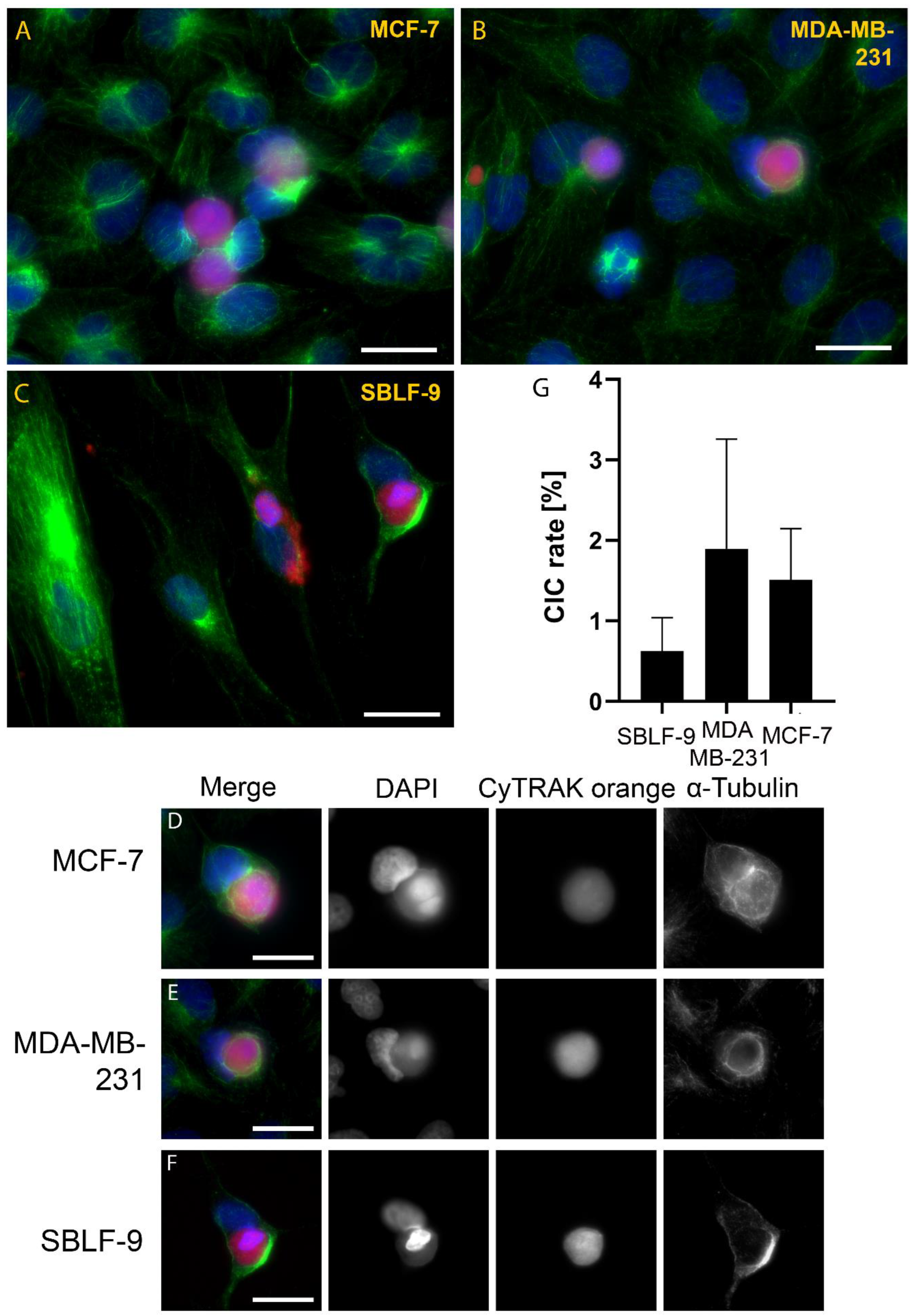 Cells 12 00081 g001 Cells 12 00081 g001