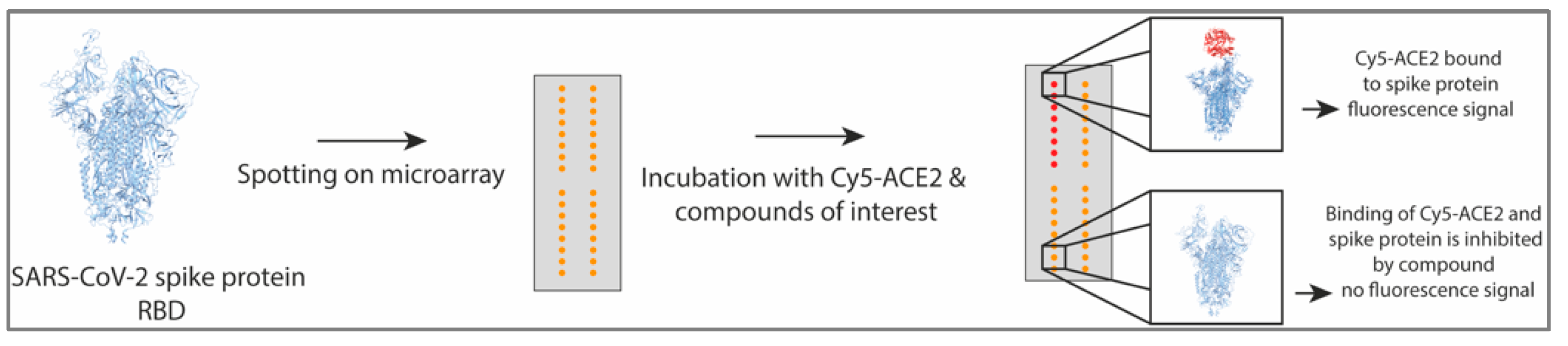 Cells 12 00083 sch001