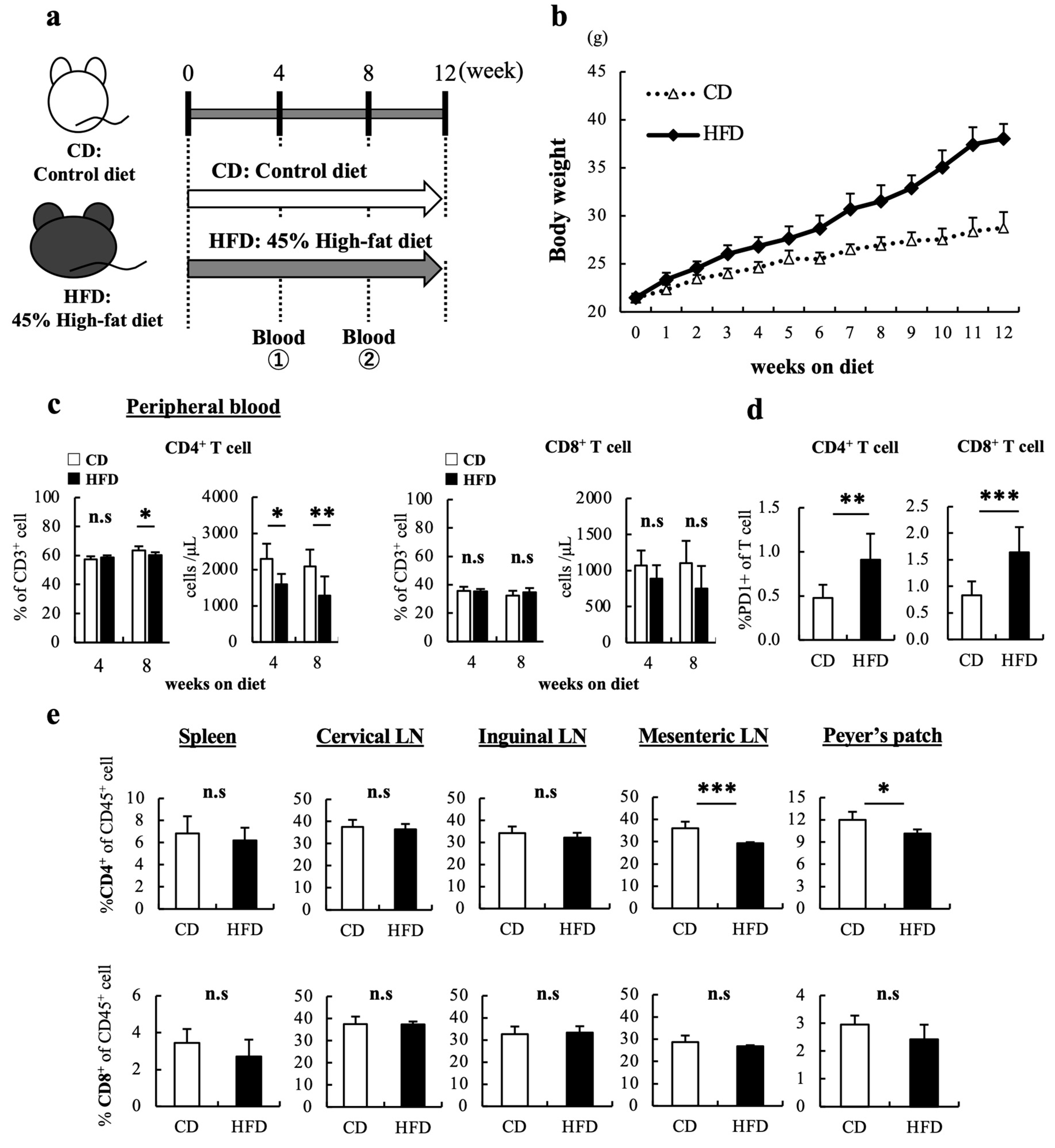 Cells 12 00086 g001 Cells 12 00086 g001