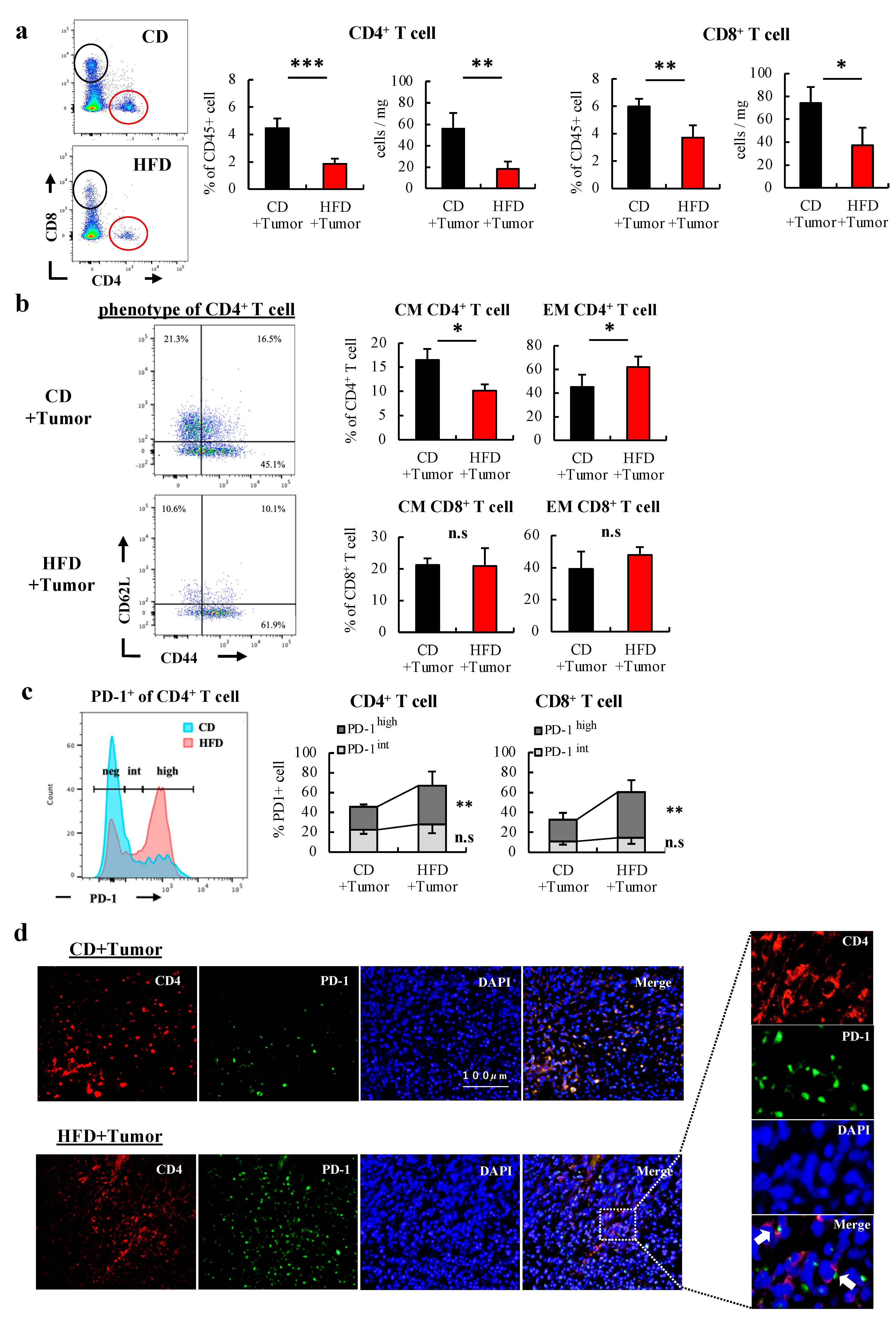 Cells 12 00086 g004 Cells 12 00086 g004