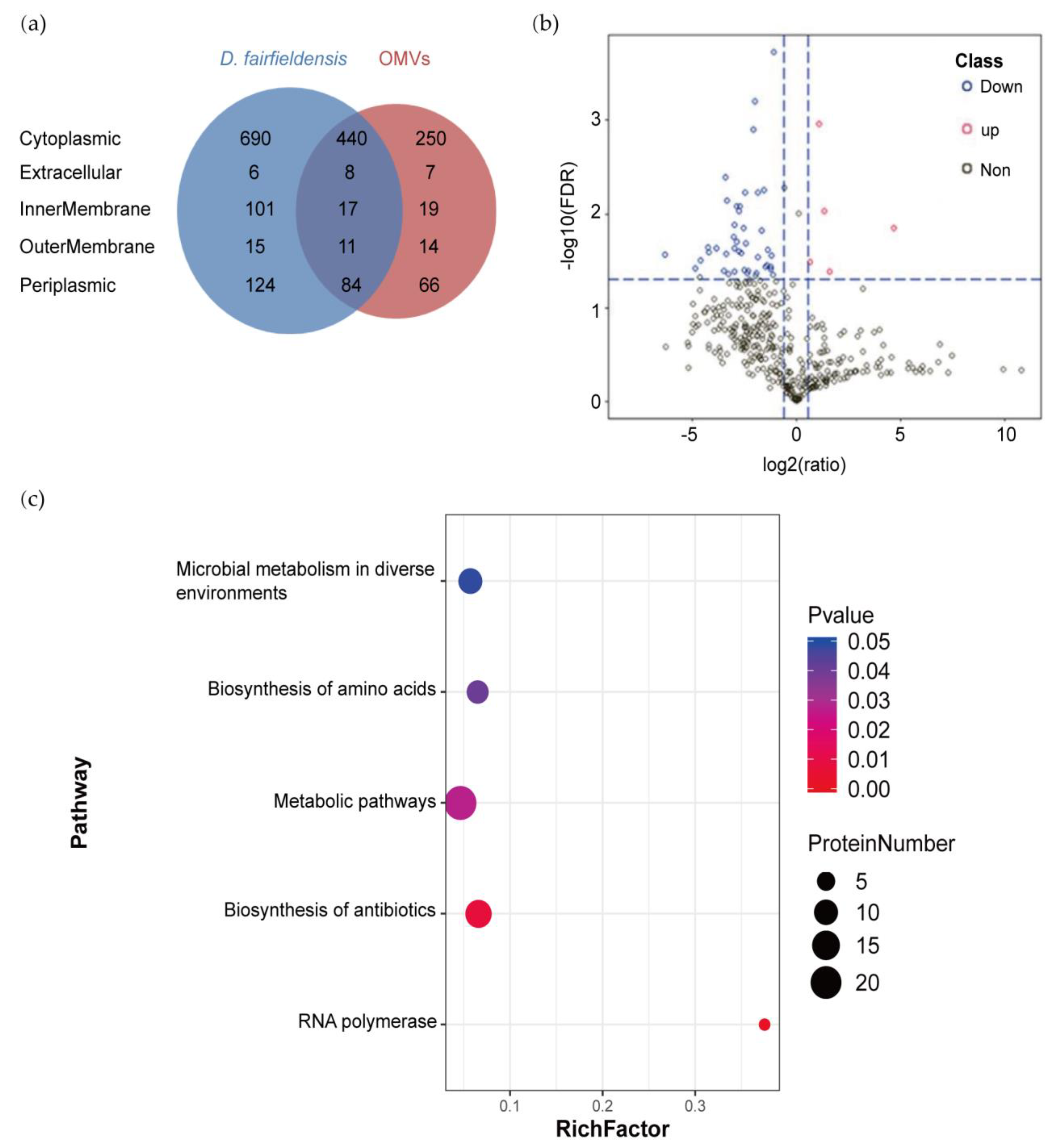 Cells 12 00089 g002 Cells 12 00089 g002