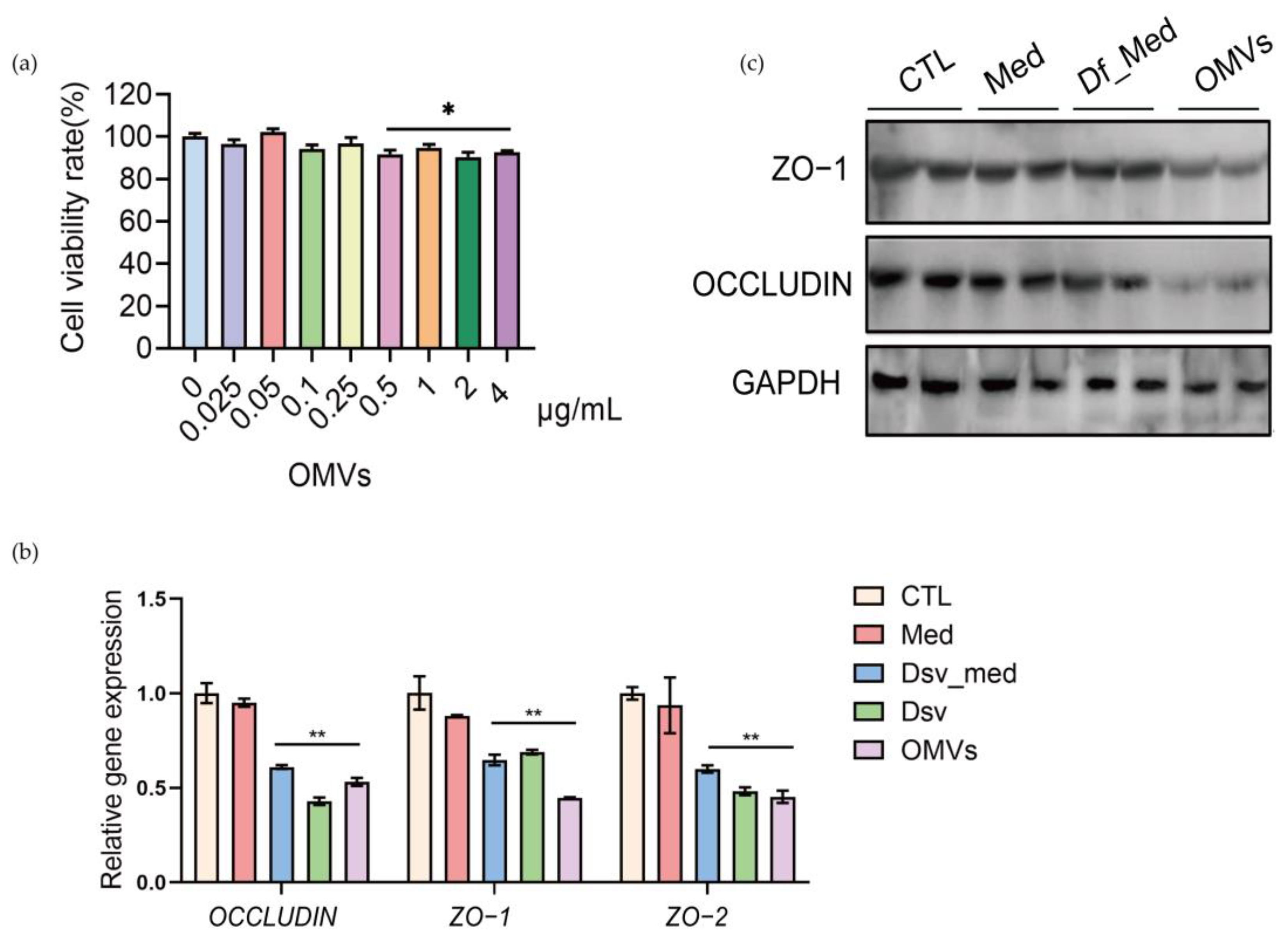 Cells 12 00089 g004 Cells 12 00089 g004