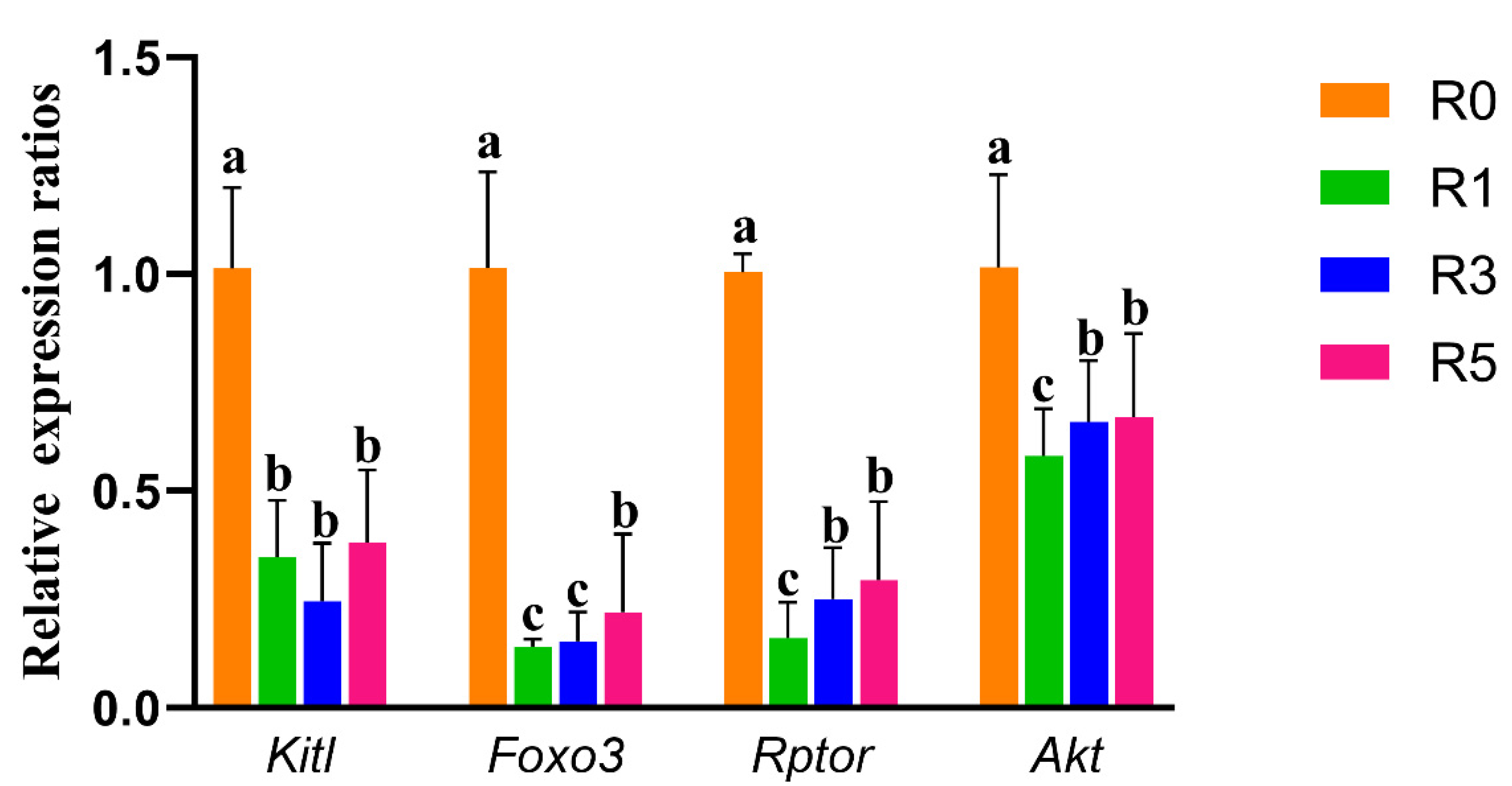 Cells 12 00092 g004 Cells 12 00092 g004