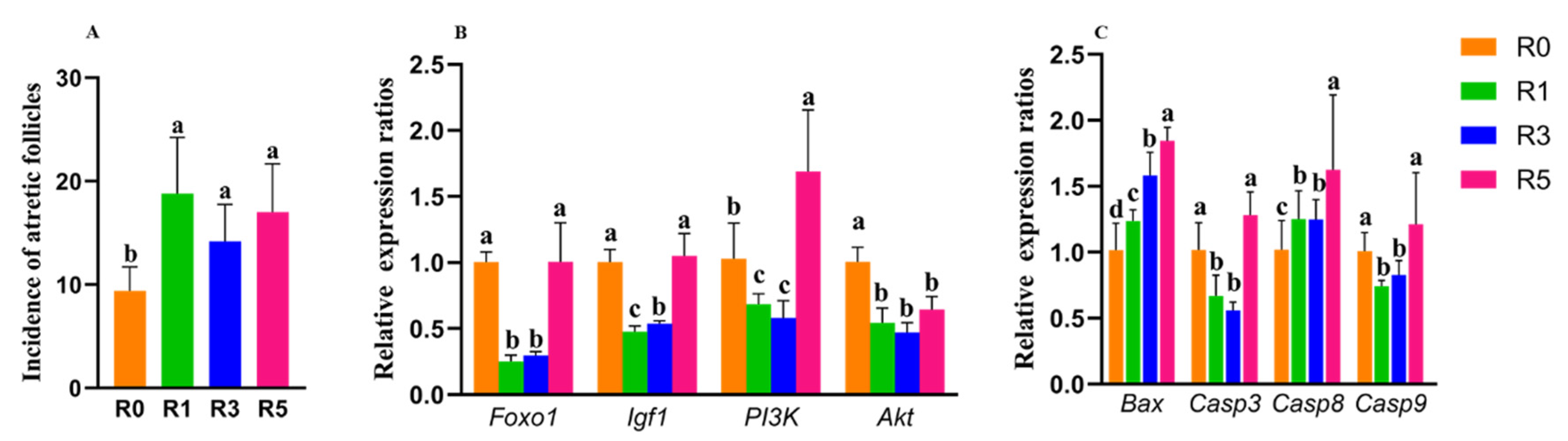 Cells 12 00092 g006 Cells 12 00092 g006