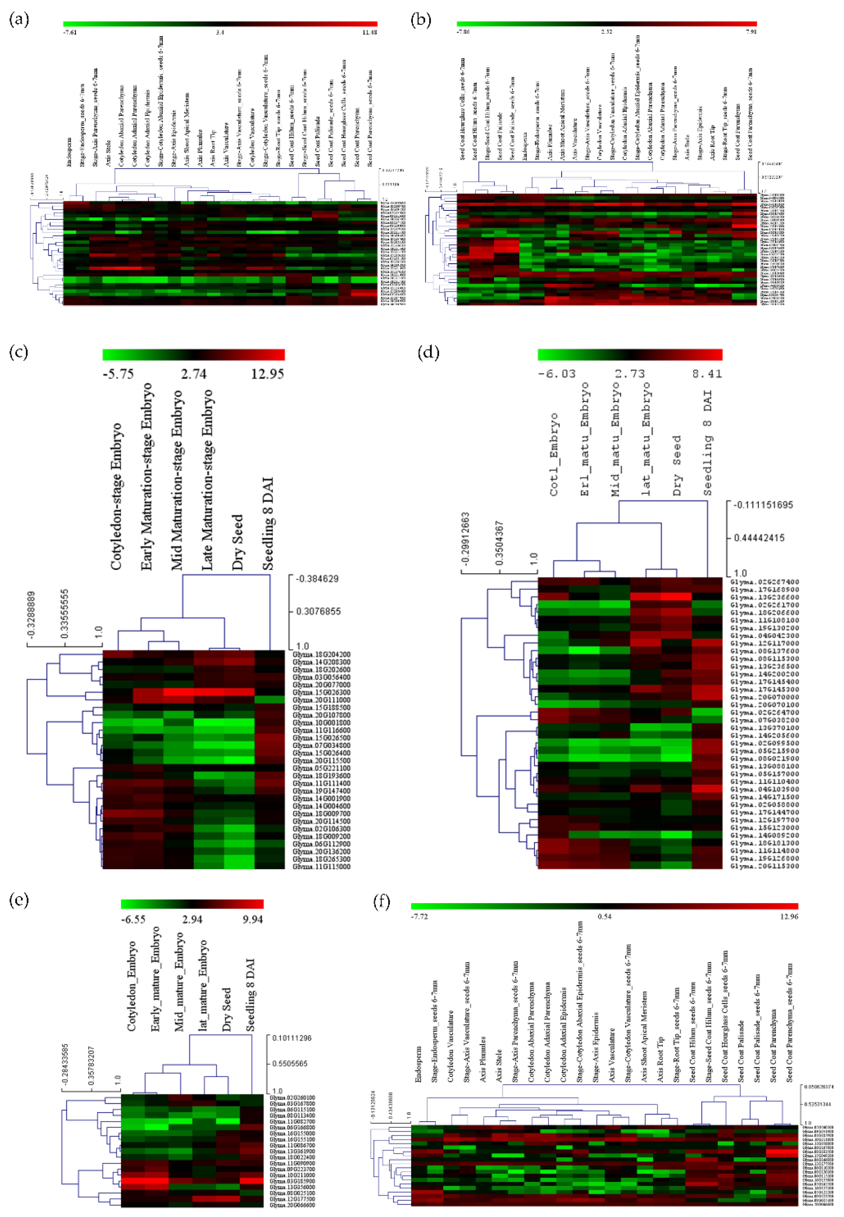 Cells 12 00097 g005 Cells 12 00097 g005