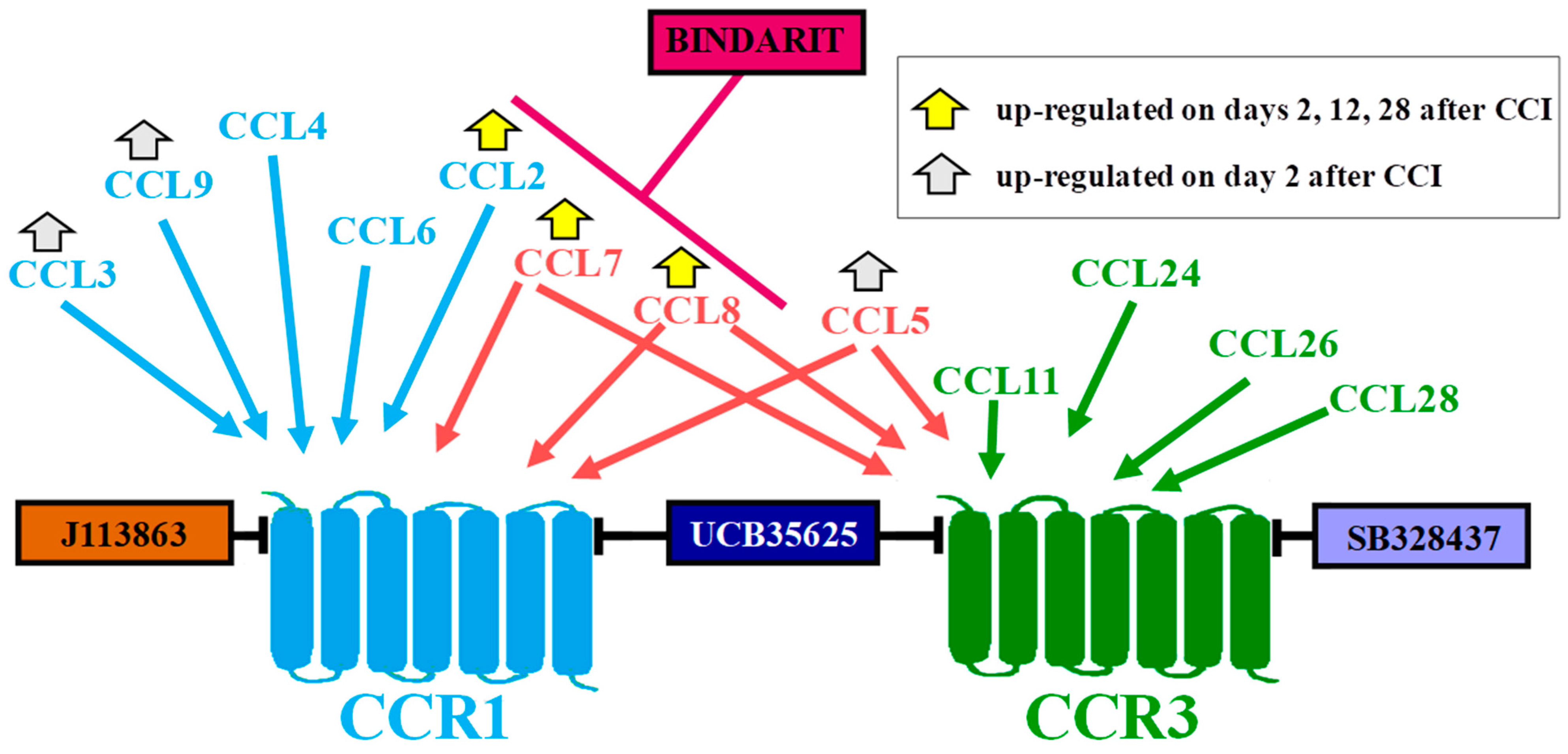 Cells 12 00098 sch006