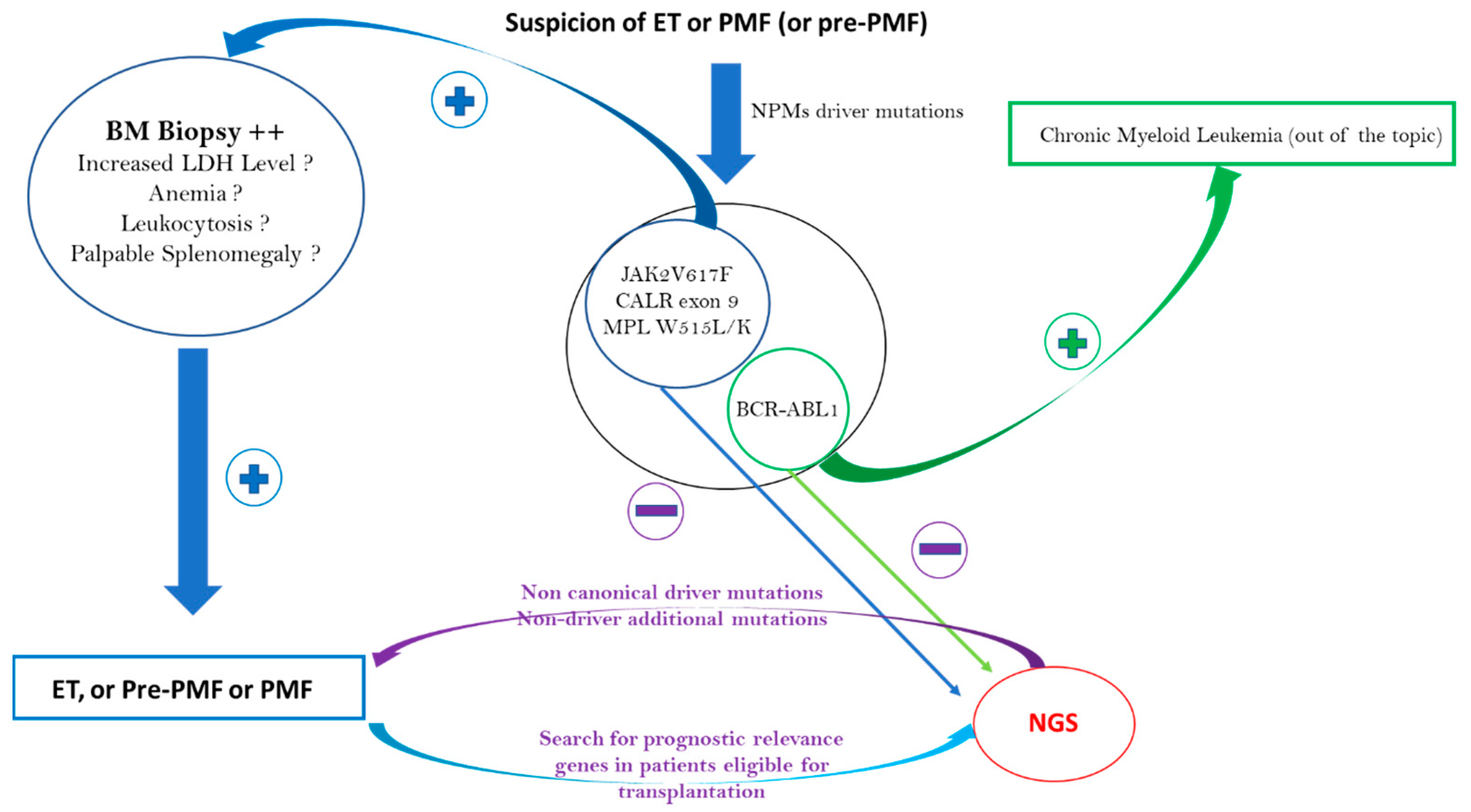 Cells 12 00105 g002 Cells 12 00105 g002