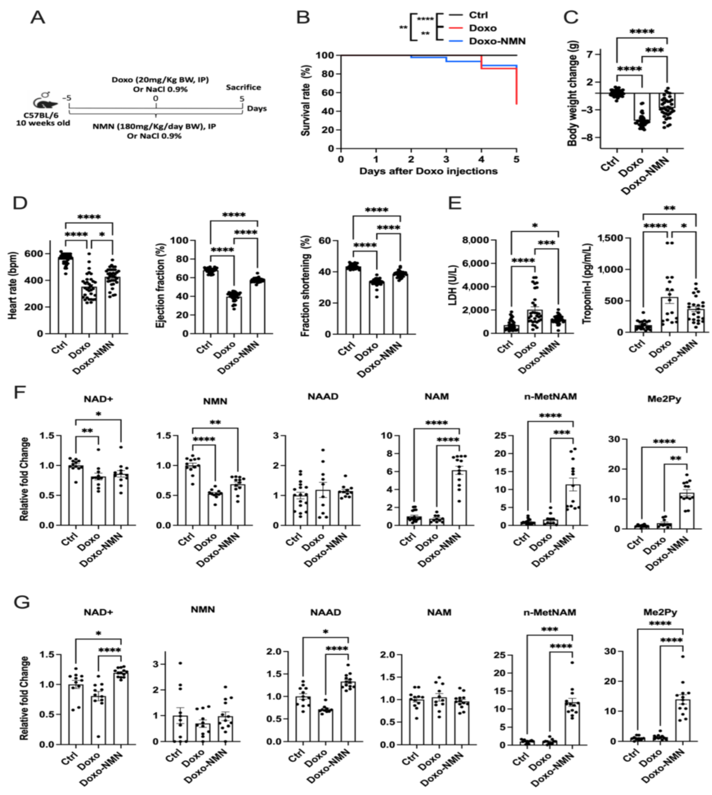 Cells 12 00108 g001 Cells 12 00108 g001