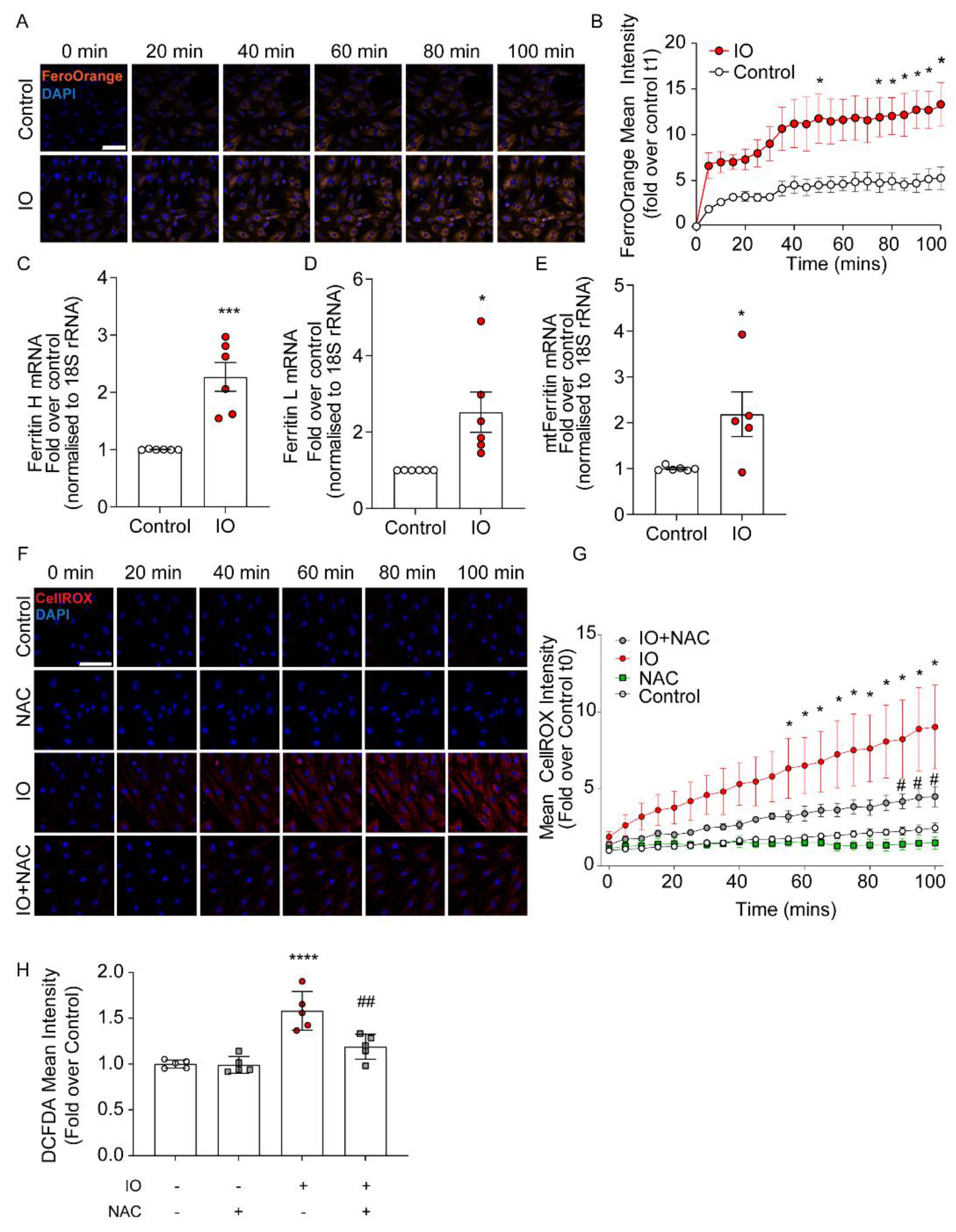 Cells 12 00118 g001