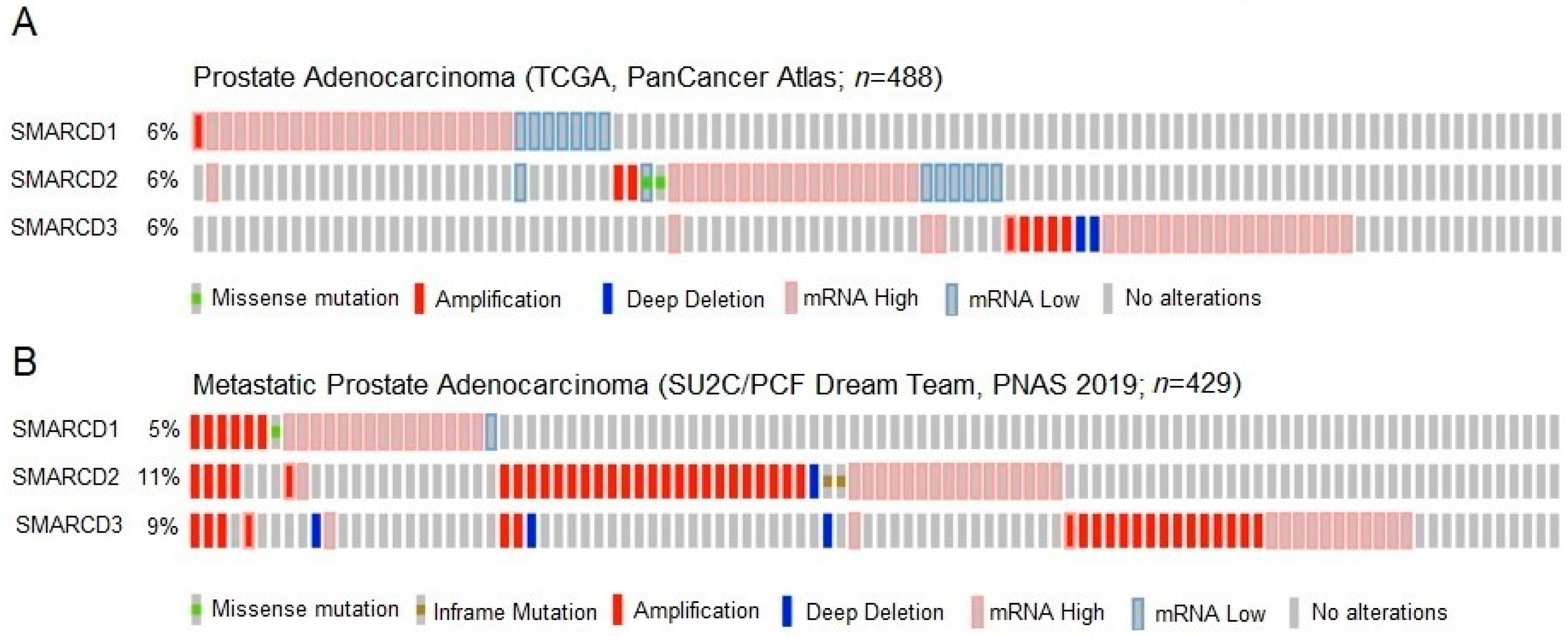 Cells 12 00124 g001 Cells 12 00124 g001