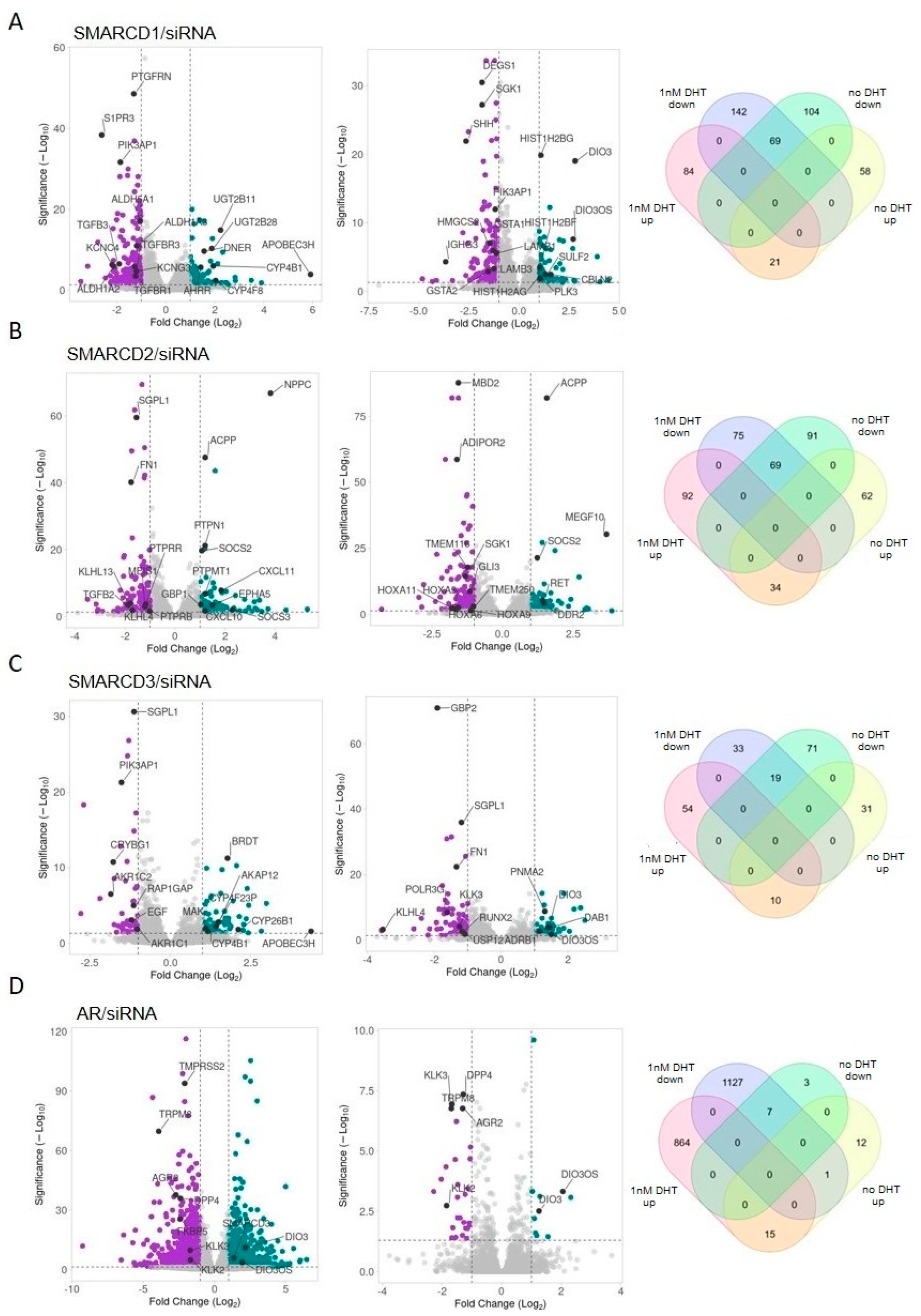 Cells 12 00124 g007 Cells 12 00124 g007