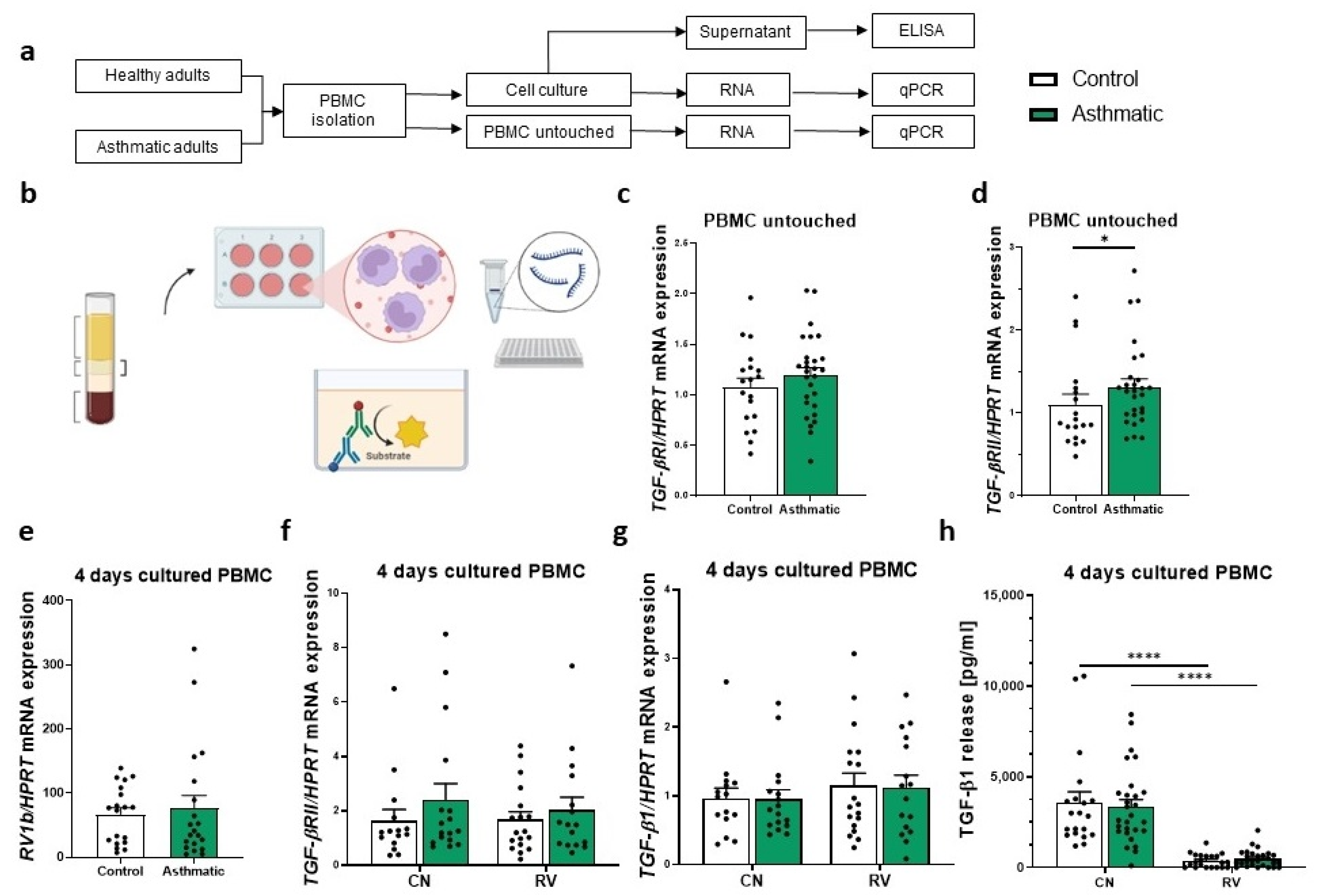 Cells 12 00129 g001 Cells 12 00129 g001