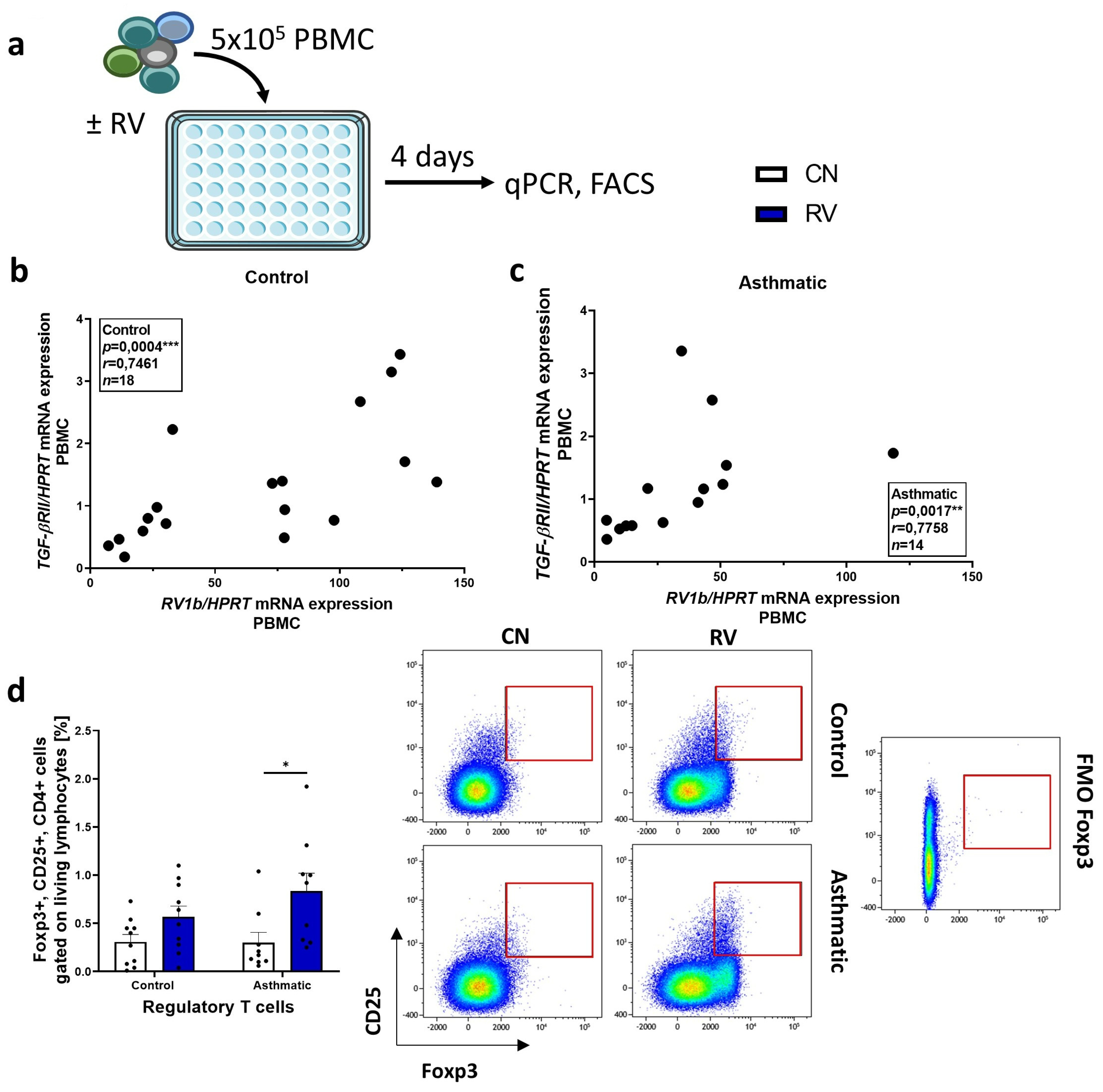 Cells 12 00129 g002 Cells 12 00129 g002
