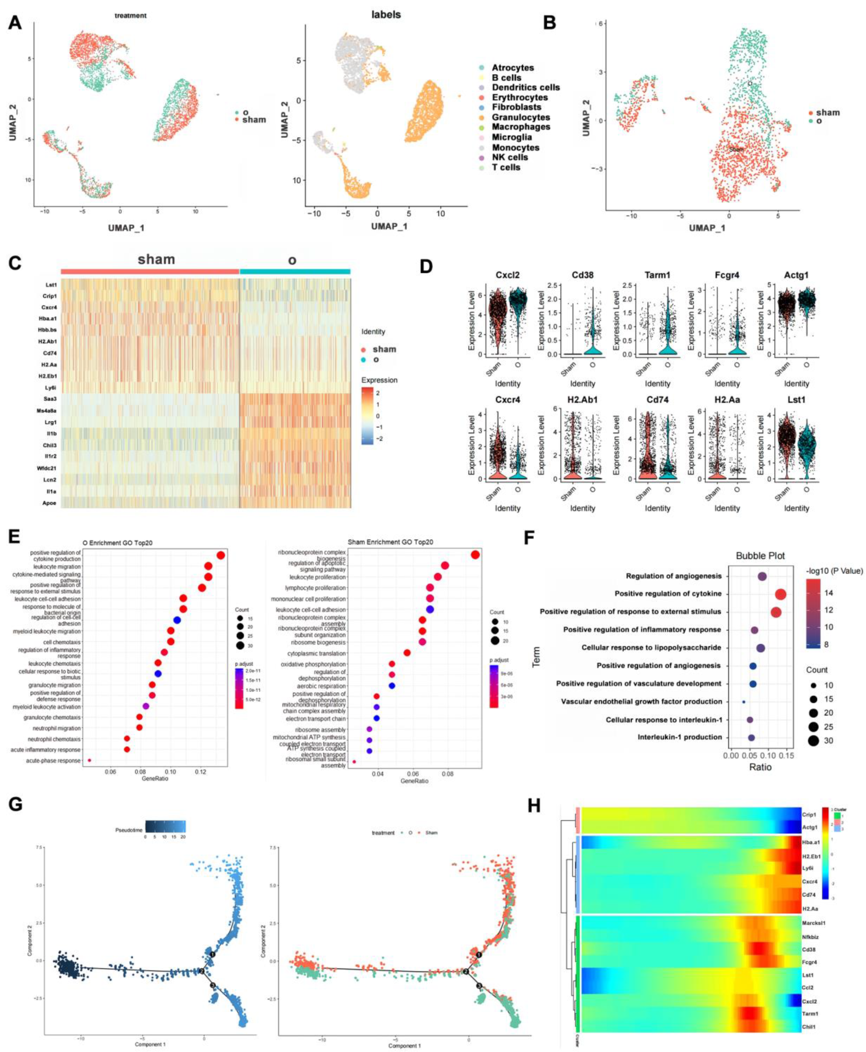 Cells 12 00135 g001 Cells 12 00135 g001