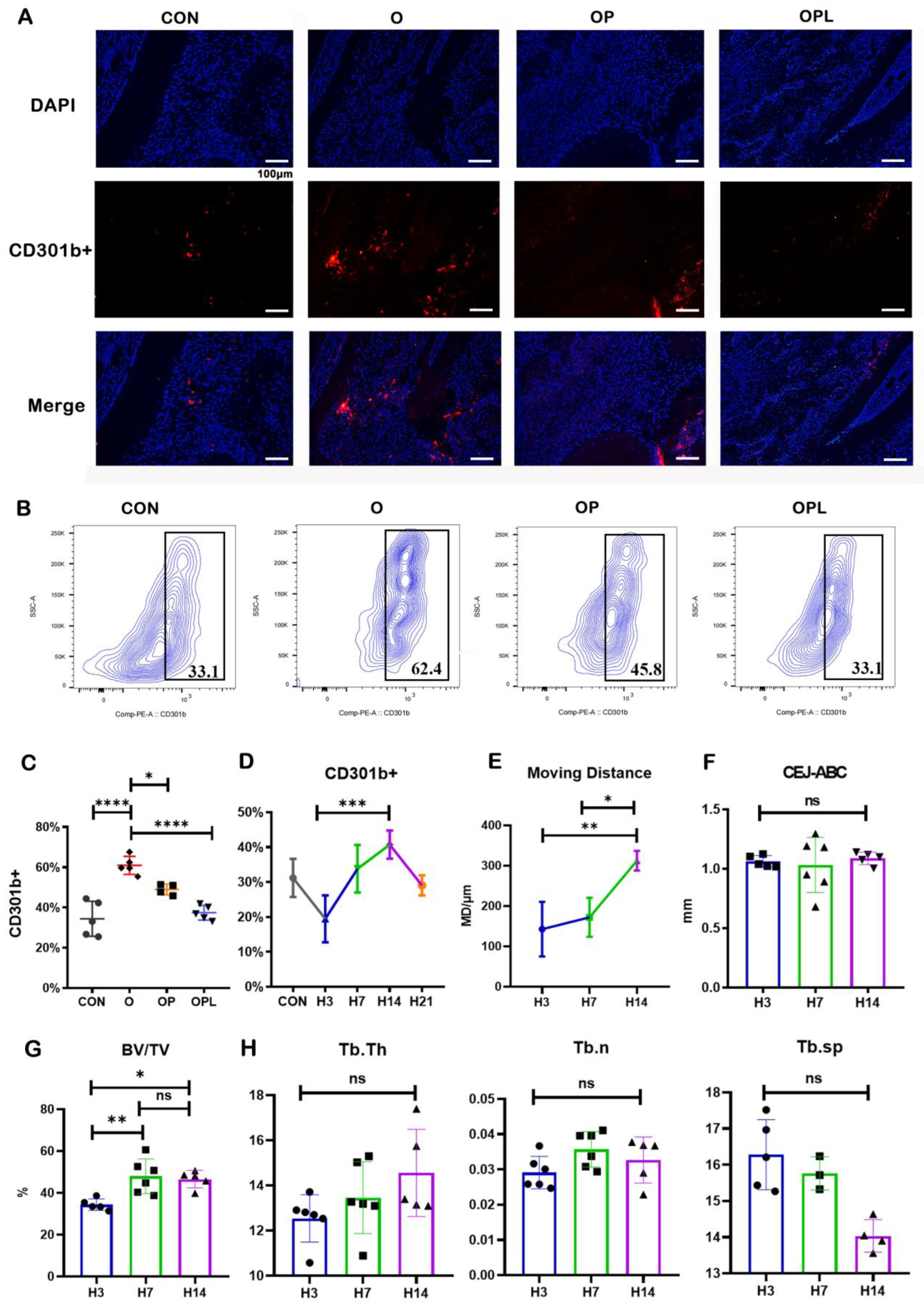 Cells 12 00135 g004 Cells 12 00135 g004