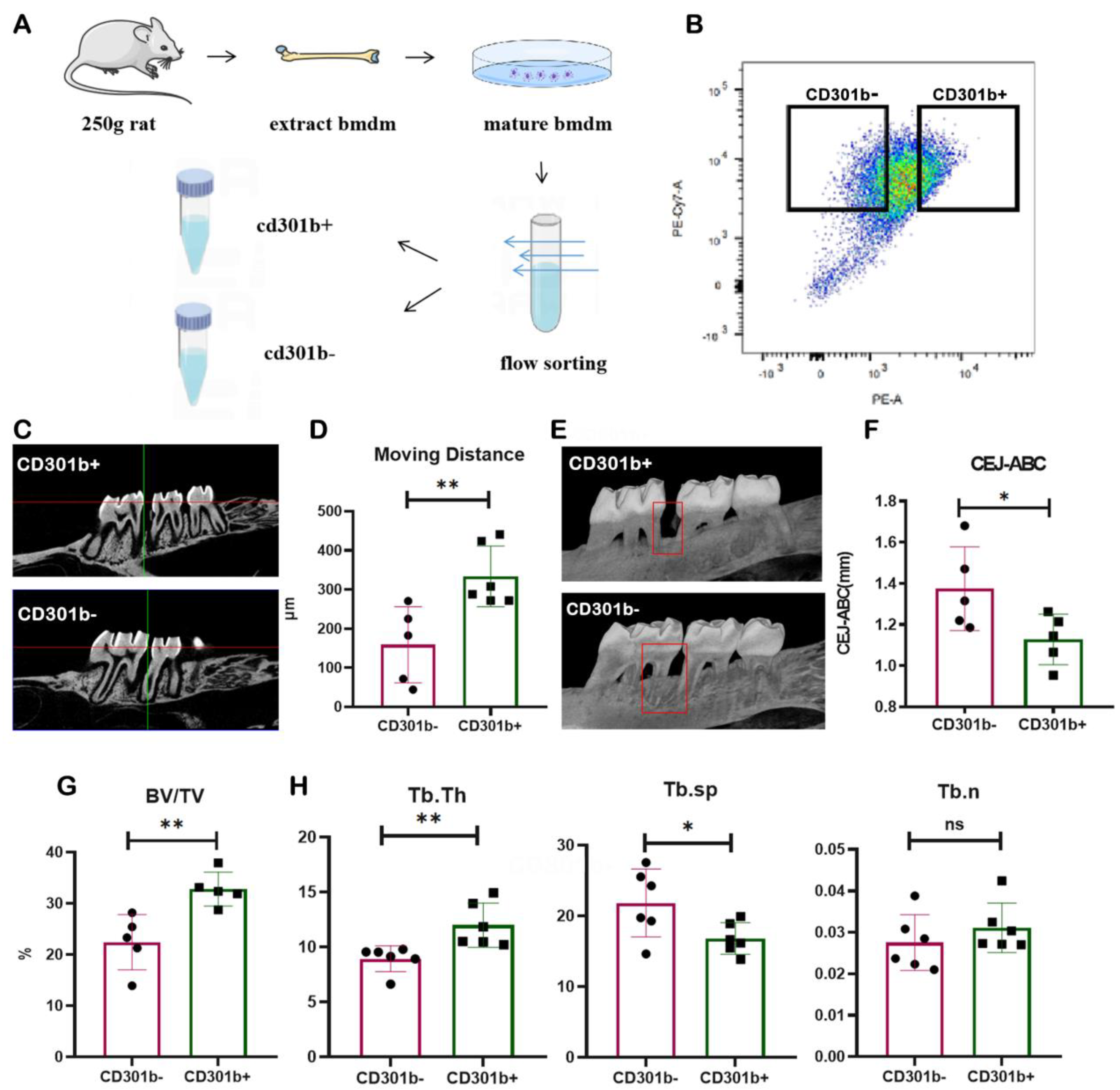 Cells 12 00135 g005 Cells 12 00135 g005