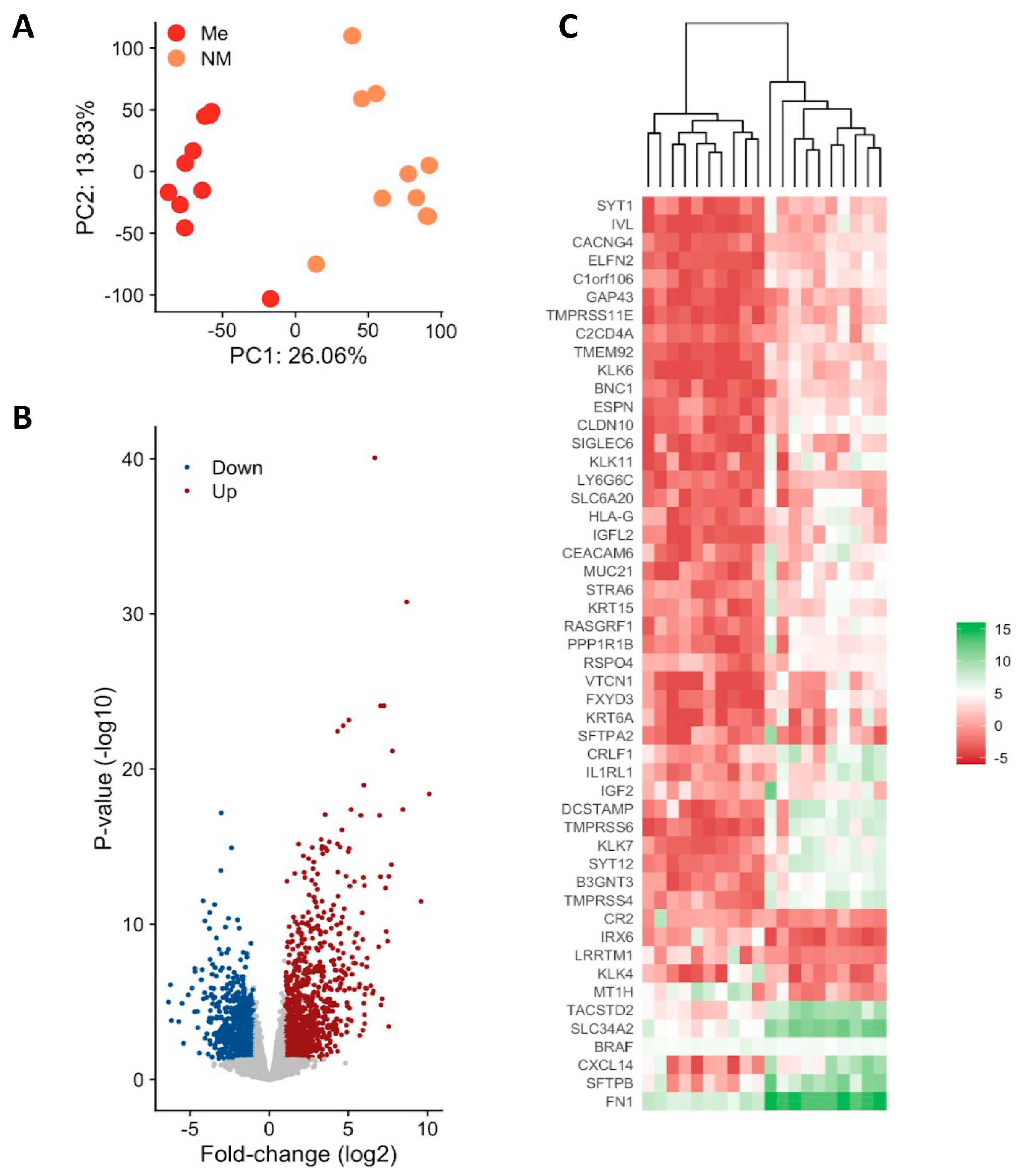 Cells 12 00139 g001 Cells 12 00139 g001