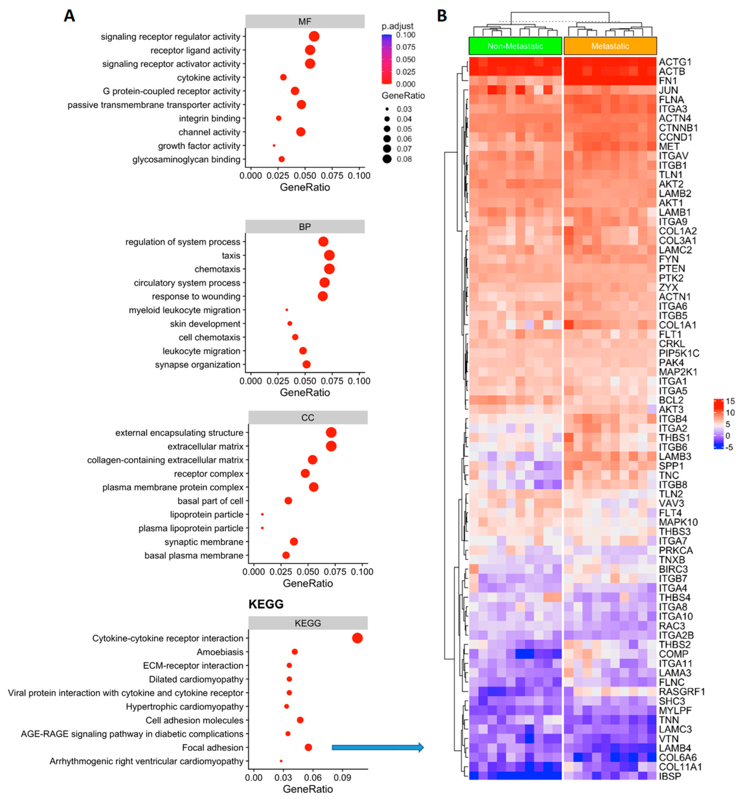 Cells 12 00139 g002 Cells 12 00139 g002