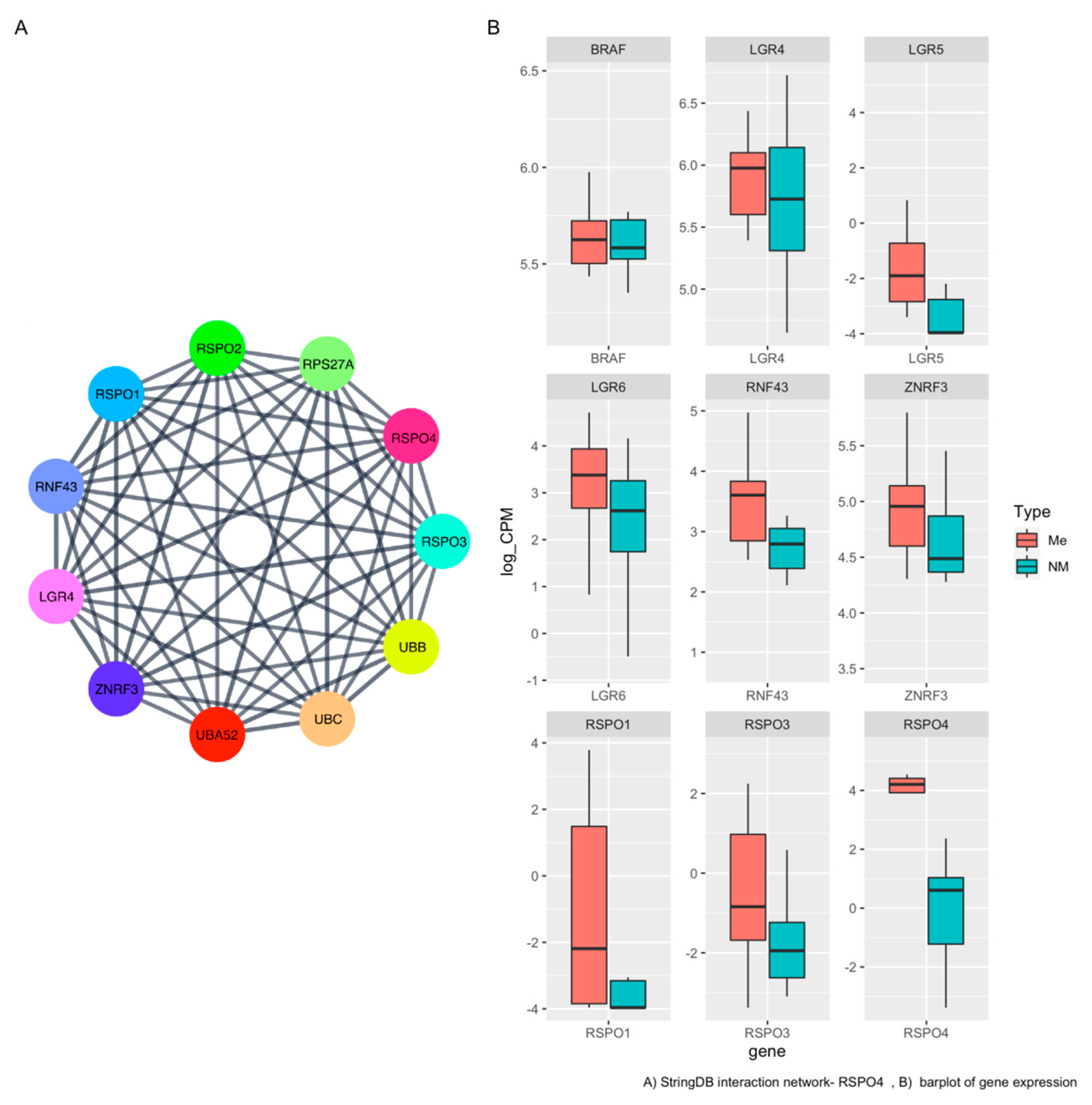 Cells 12 00139 g003 Cells 12 00139 g003