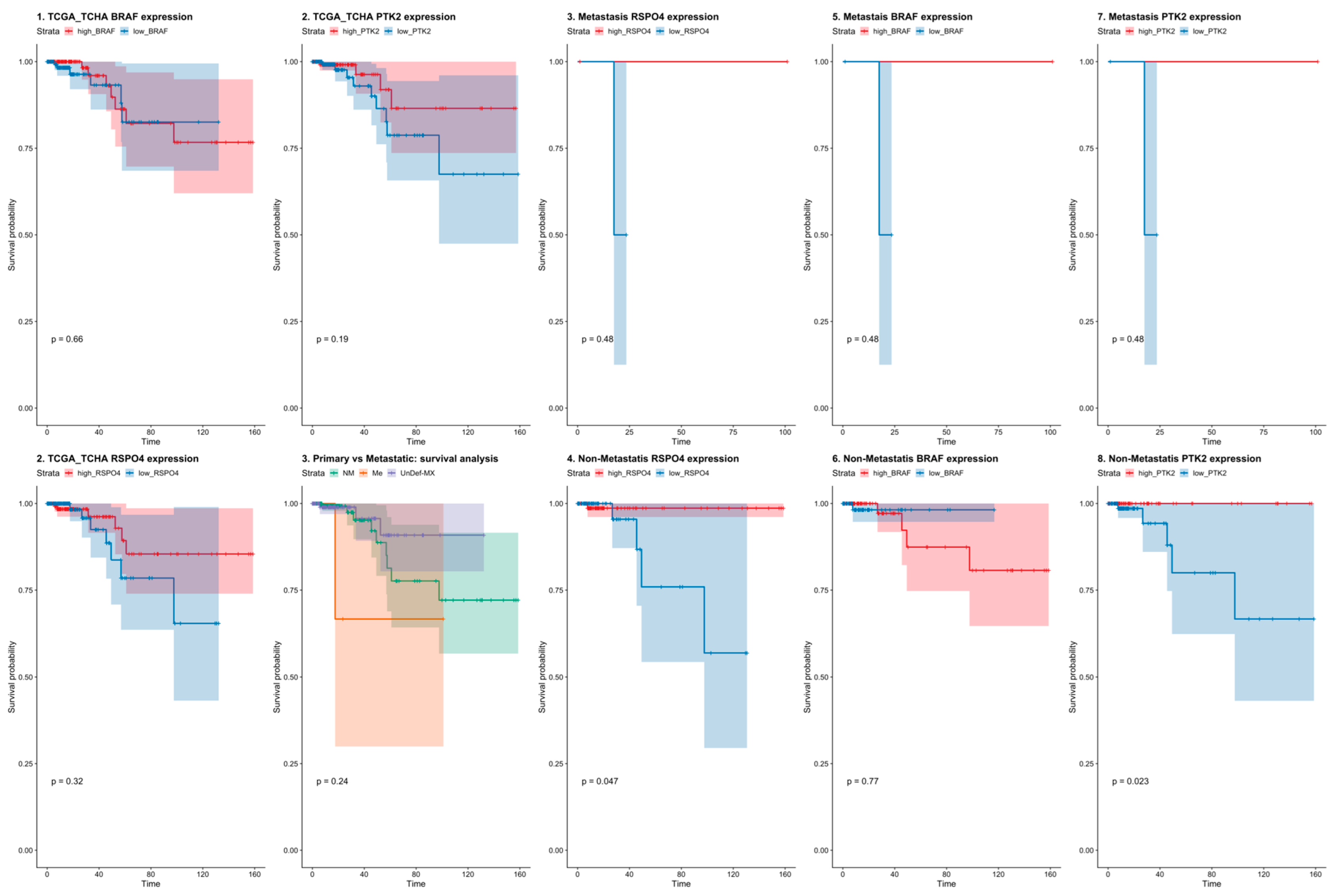 Cells 12 00139 g004 Cells 12 00139 g004