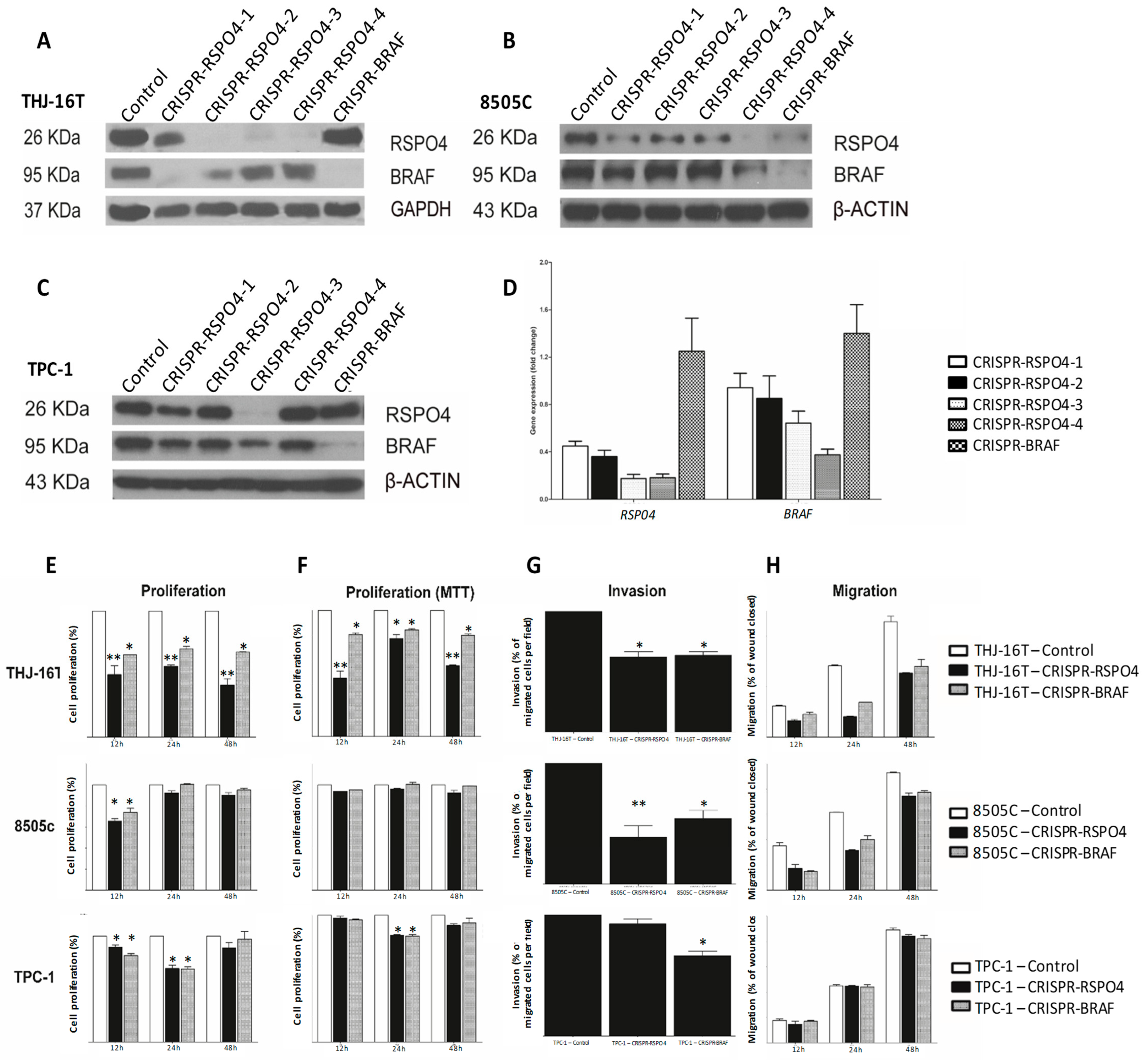 Cells 12 00139 g006 Cells 12 00139 g006