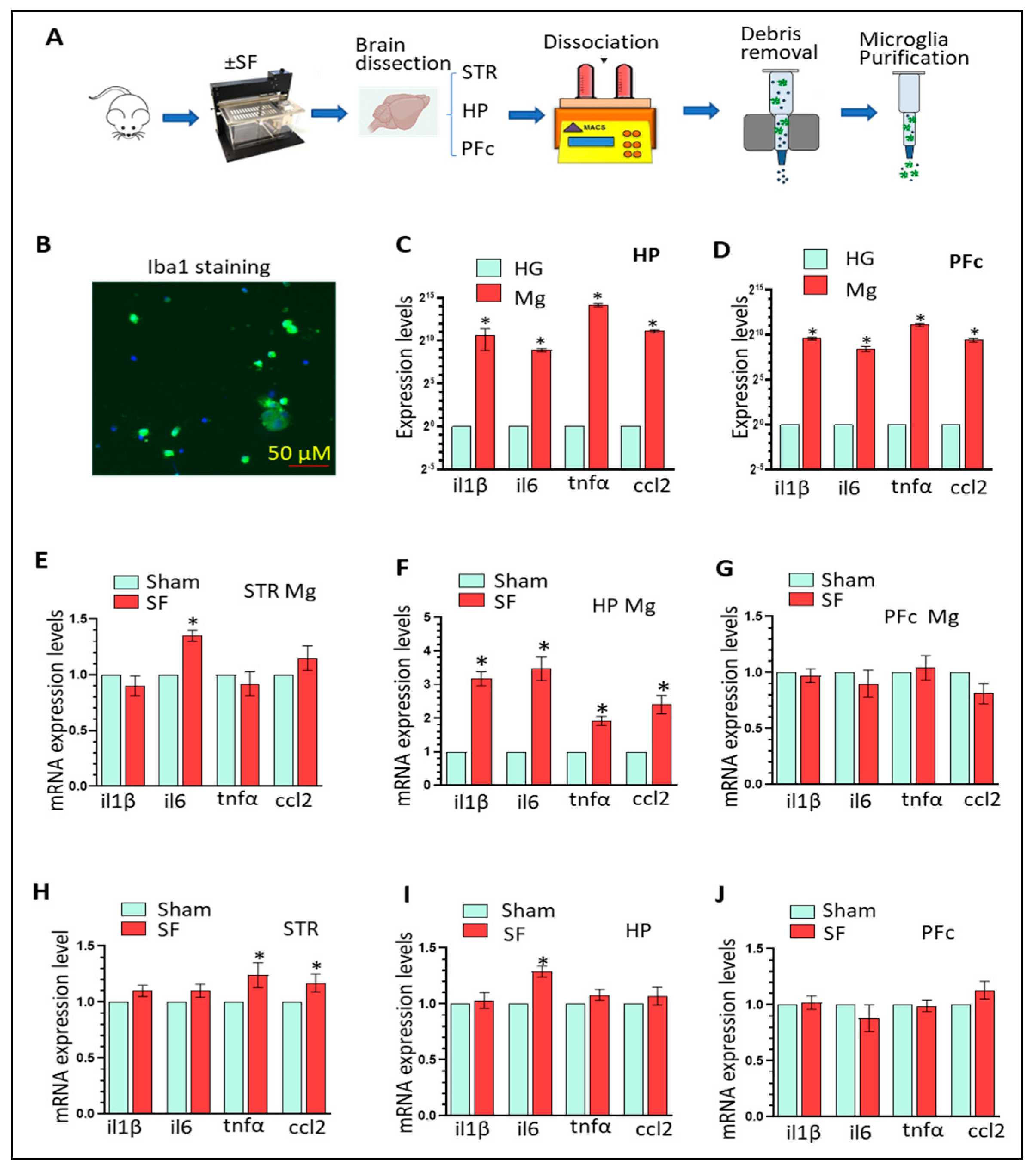 Cells 12 00160 g001 Cells 12 00160 g001