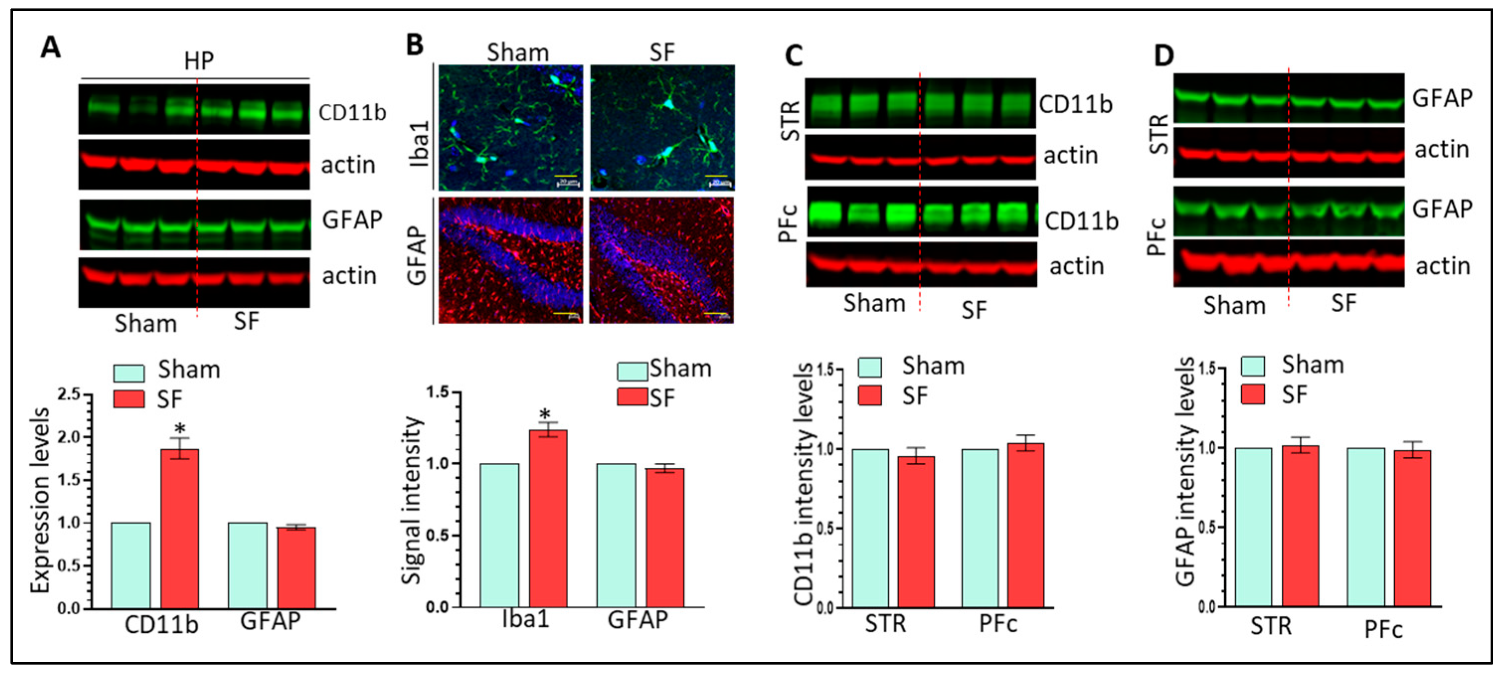 Cells 12 00160 g002 Cells 12 00160 g002