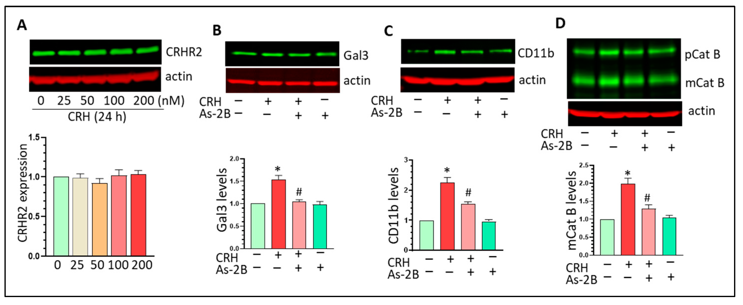 Cells 12 00160 g006 Cells 12 00160 g006