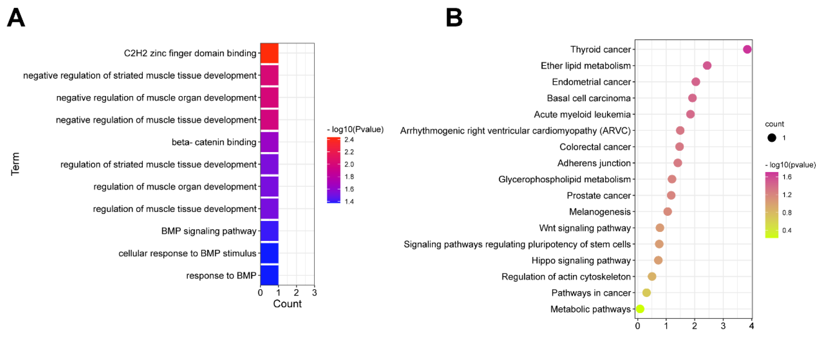 Cells 12 00167 g003 Cells 12 00167 g003