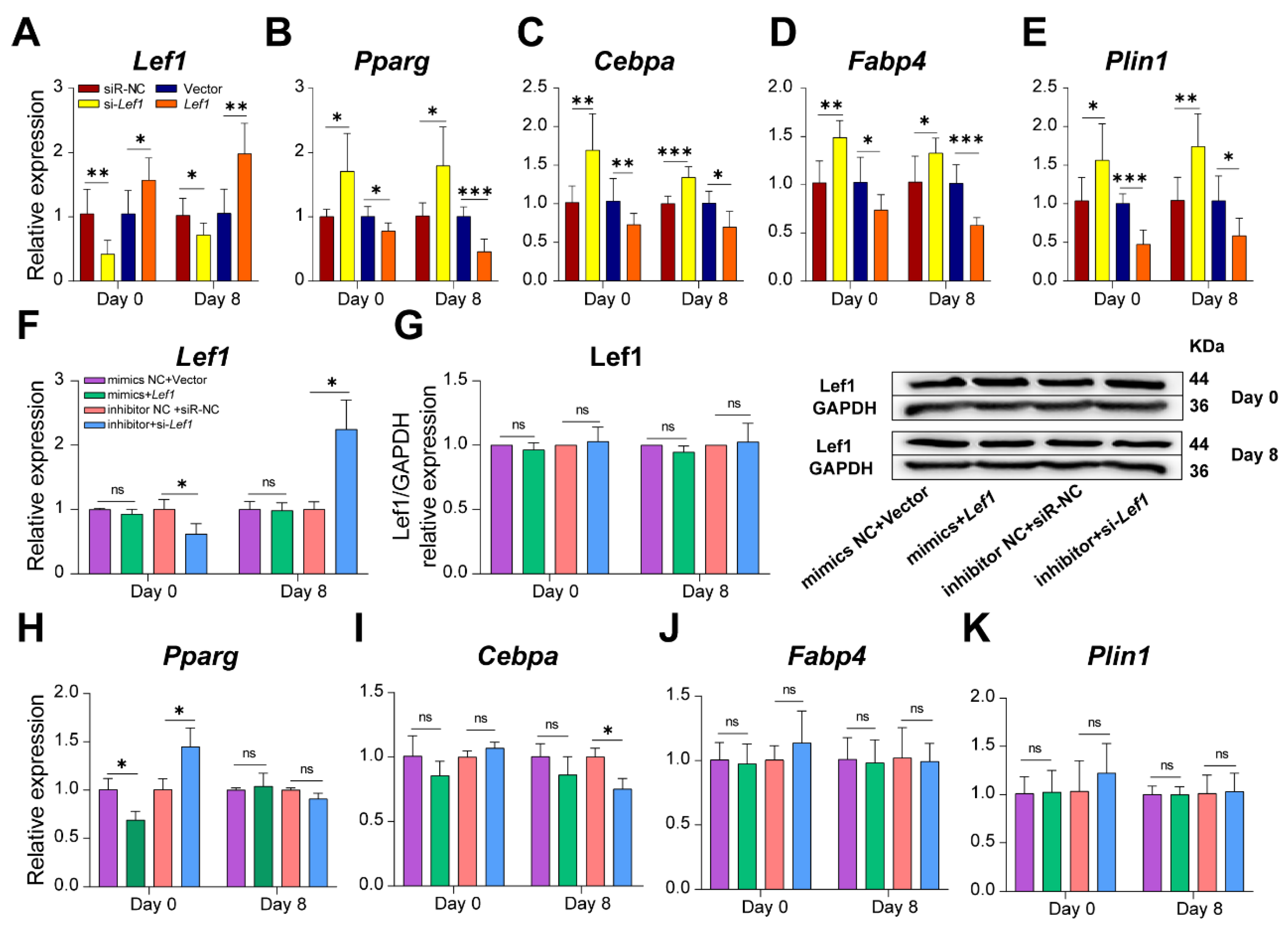 Cells 12 00167 g008 Cells 12 00167 g008