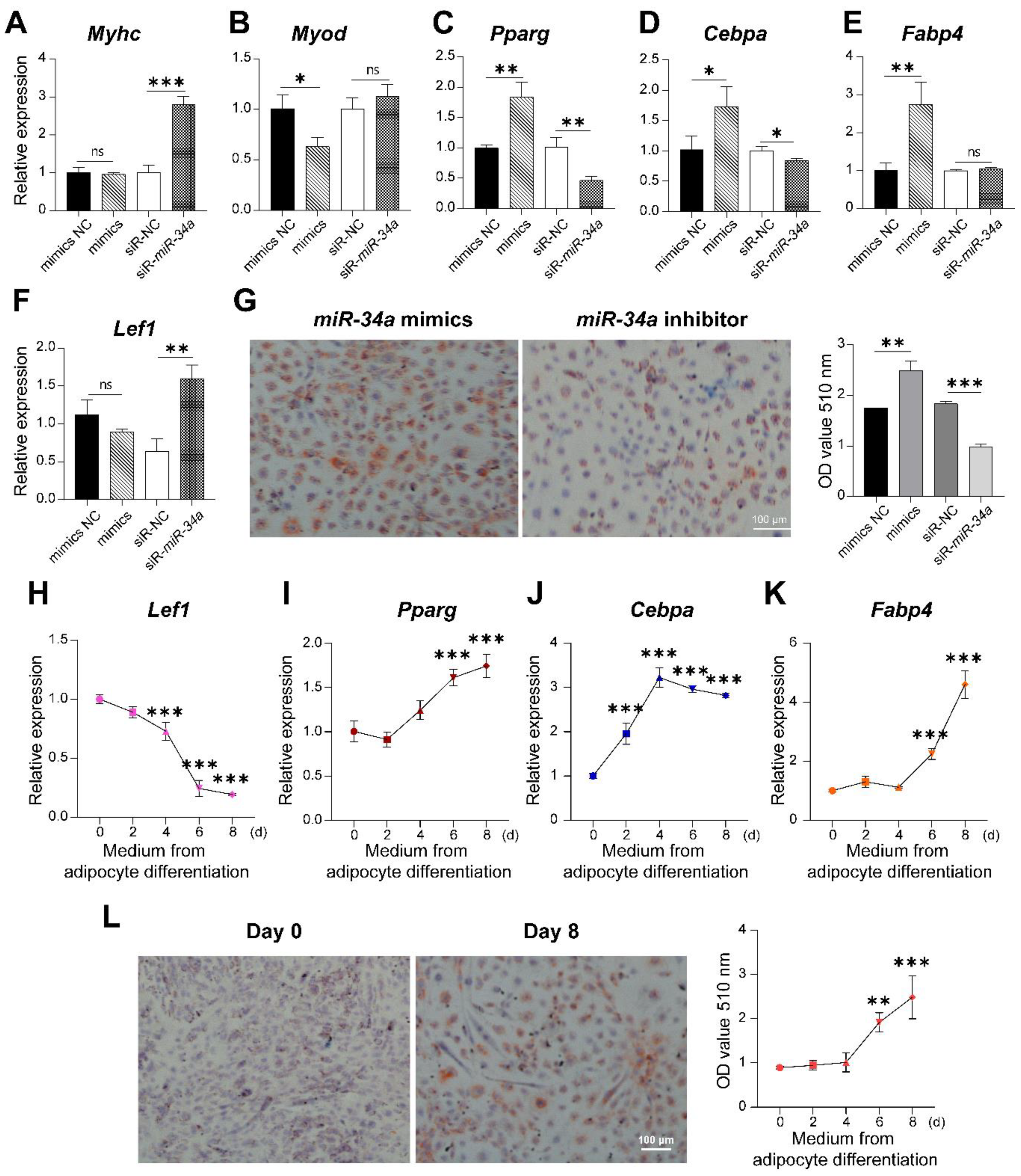 Cells 12 00167 g010 Cells 12 00167 g010
