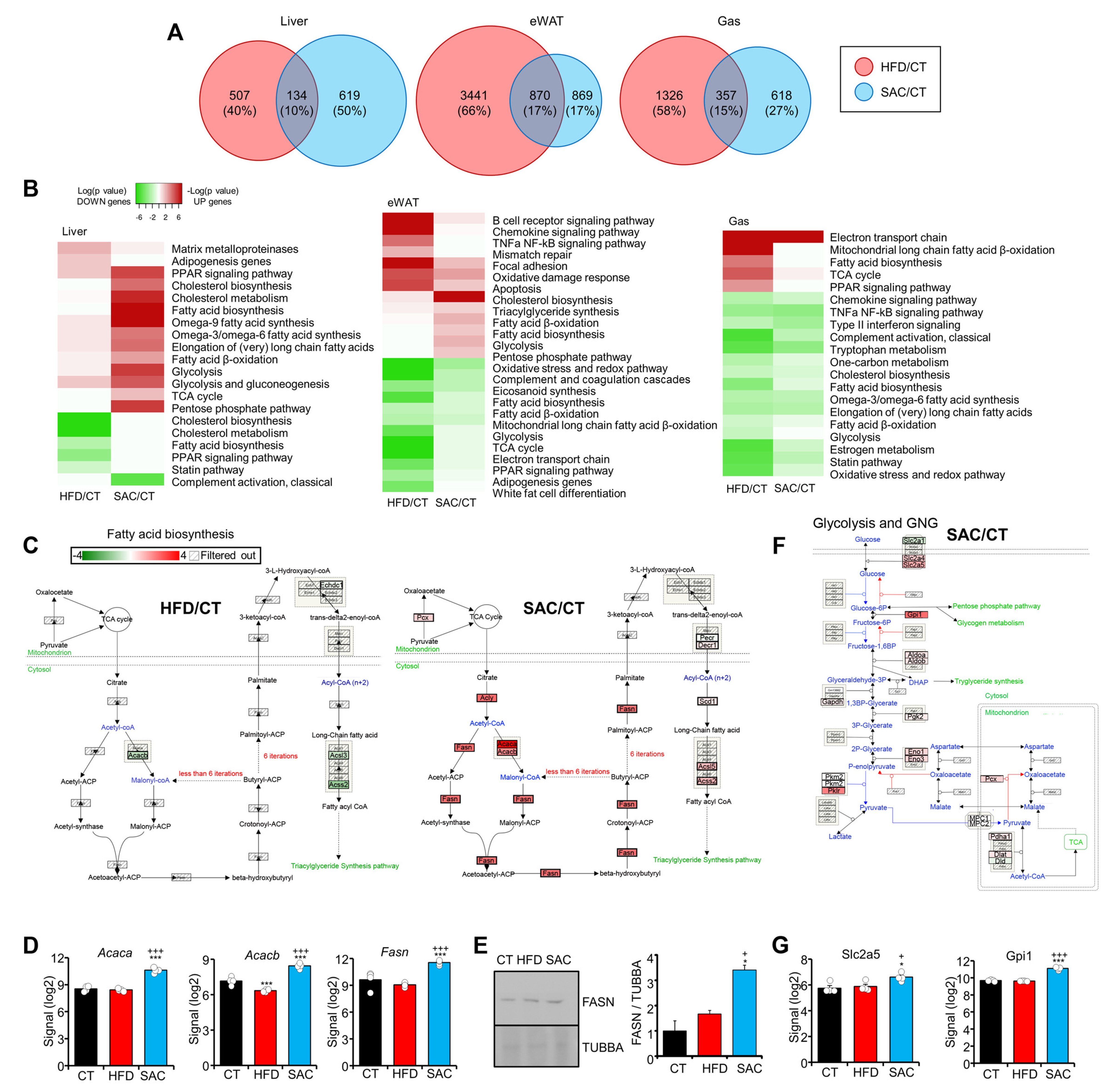Cells 12 00169 g002 Cells 12 00169 g002