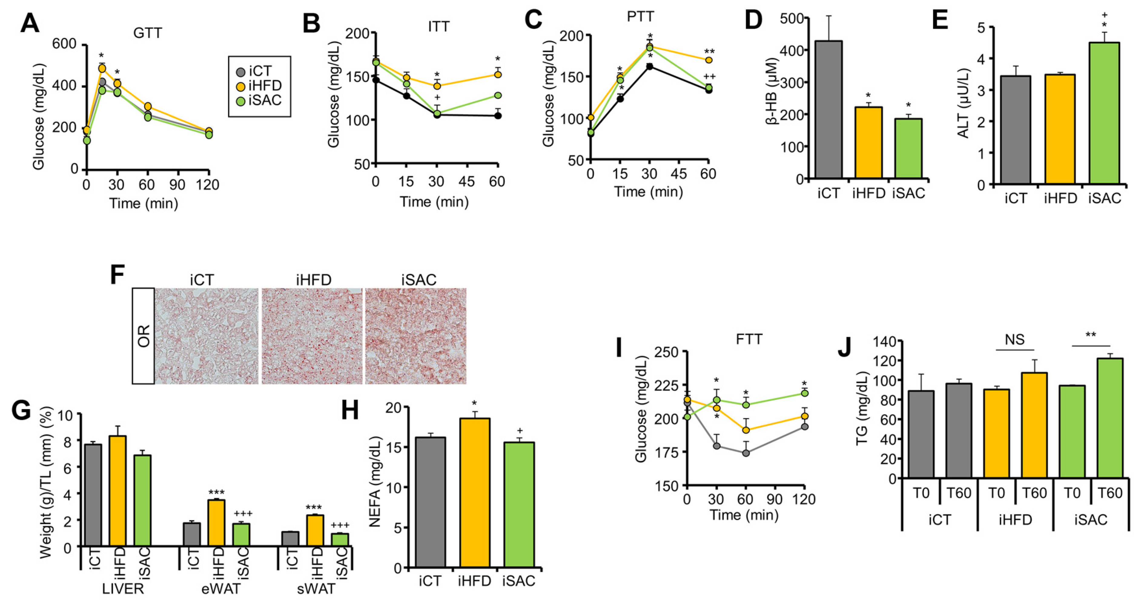 Cells 12 00169 g005 Cells 12 00169 g005