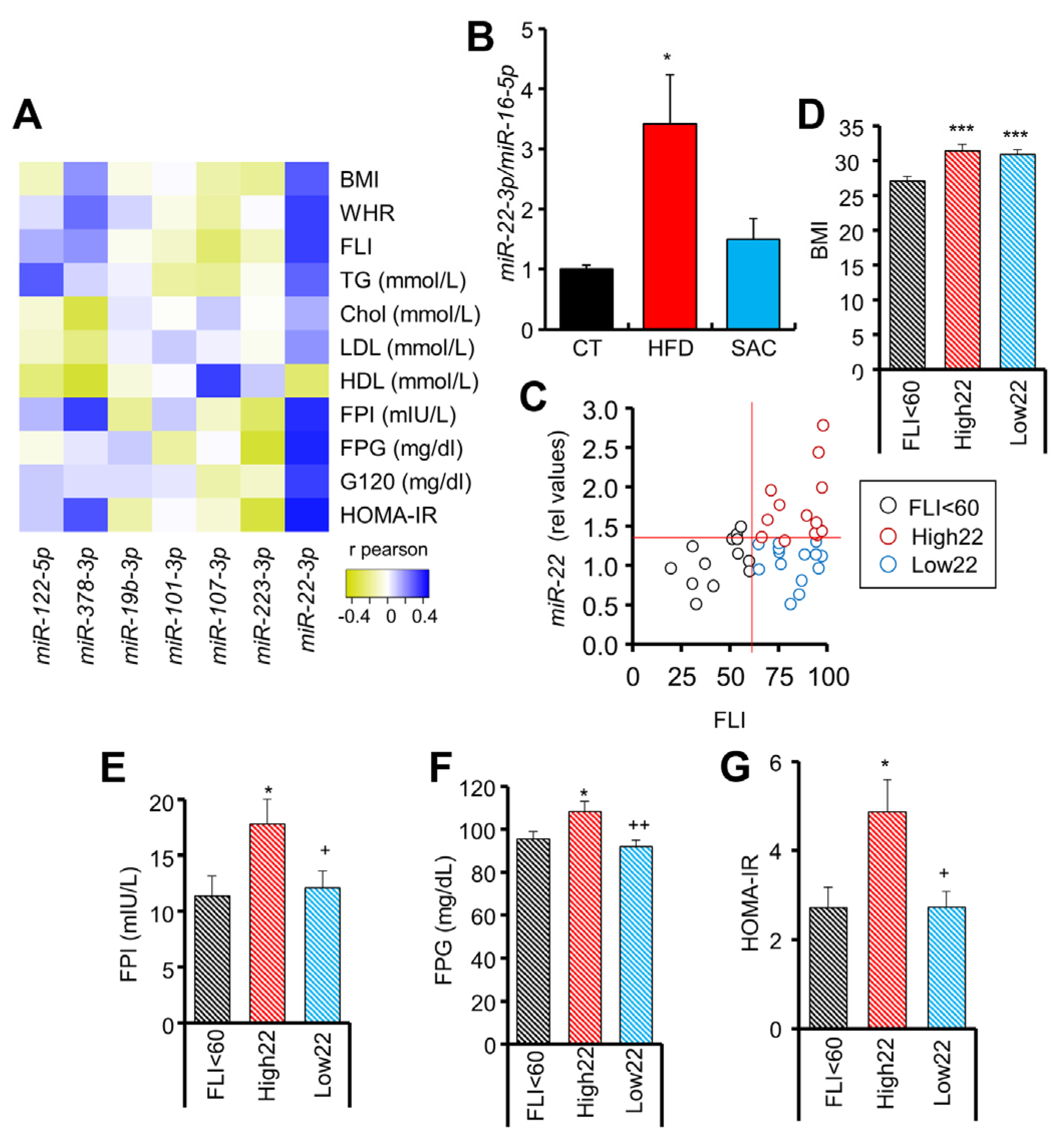 Cells 12 00169 g007 Cells 12 00169 g007