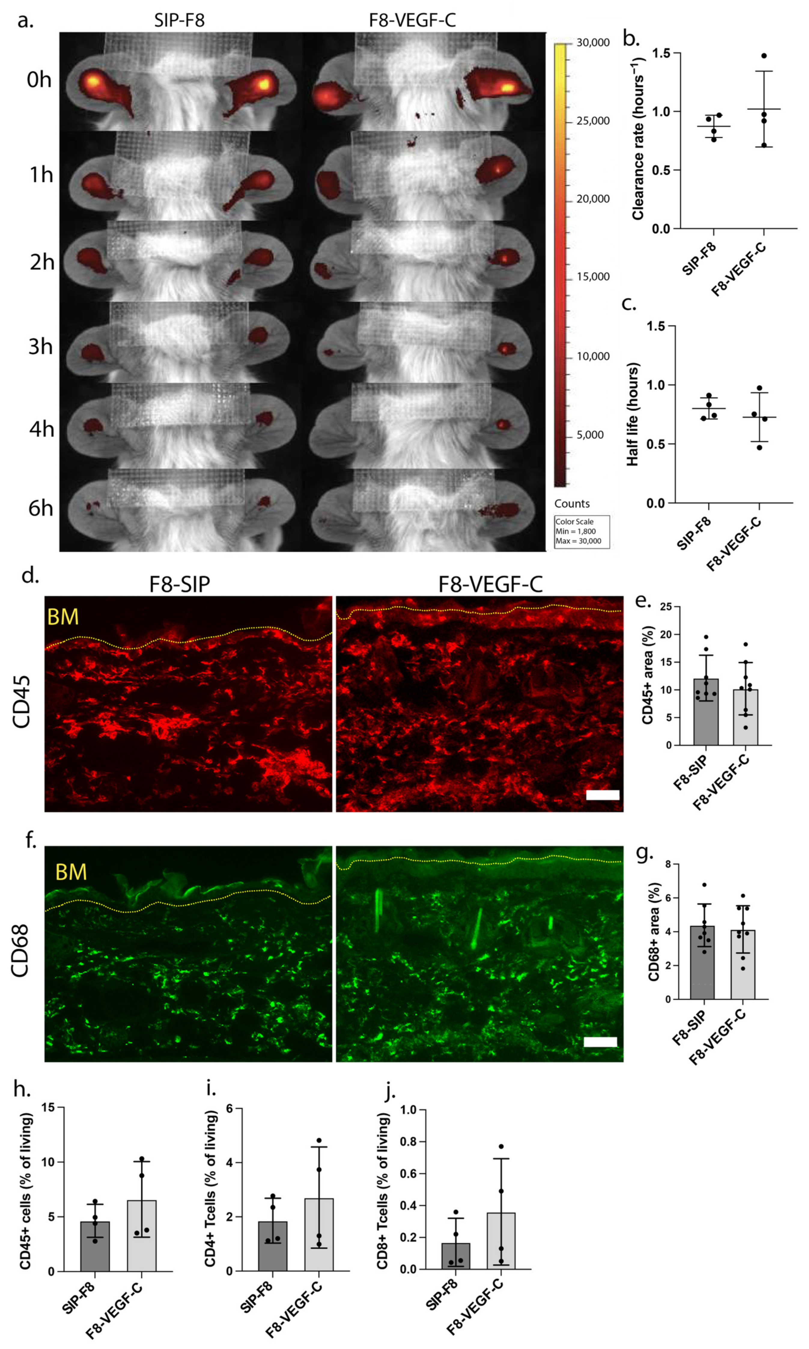Cells 12 00172 g002 Cells 12 00172 g002
