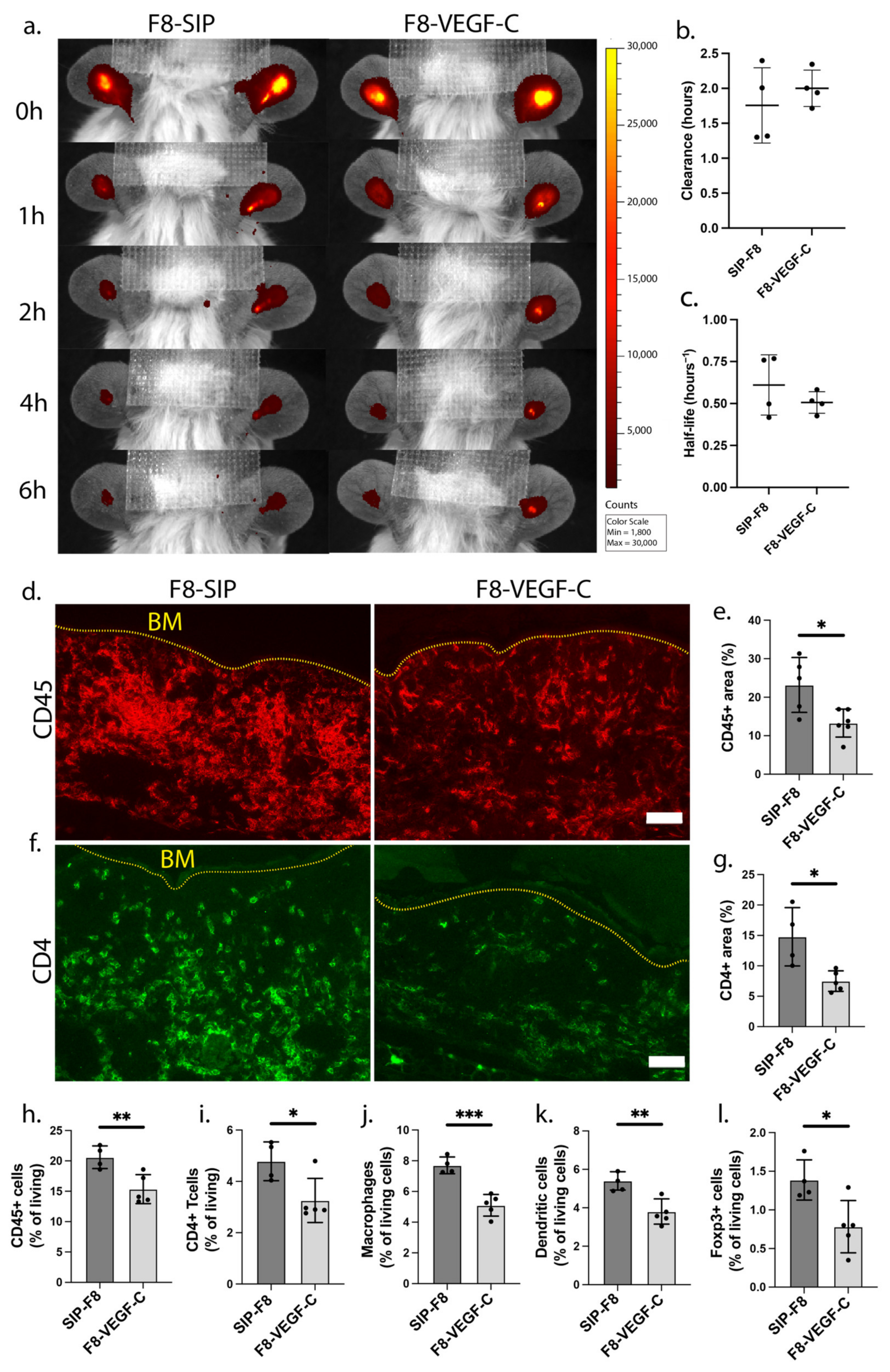 Cells 12 00172 g004 Cells 12 00172 g004