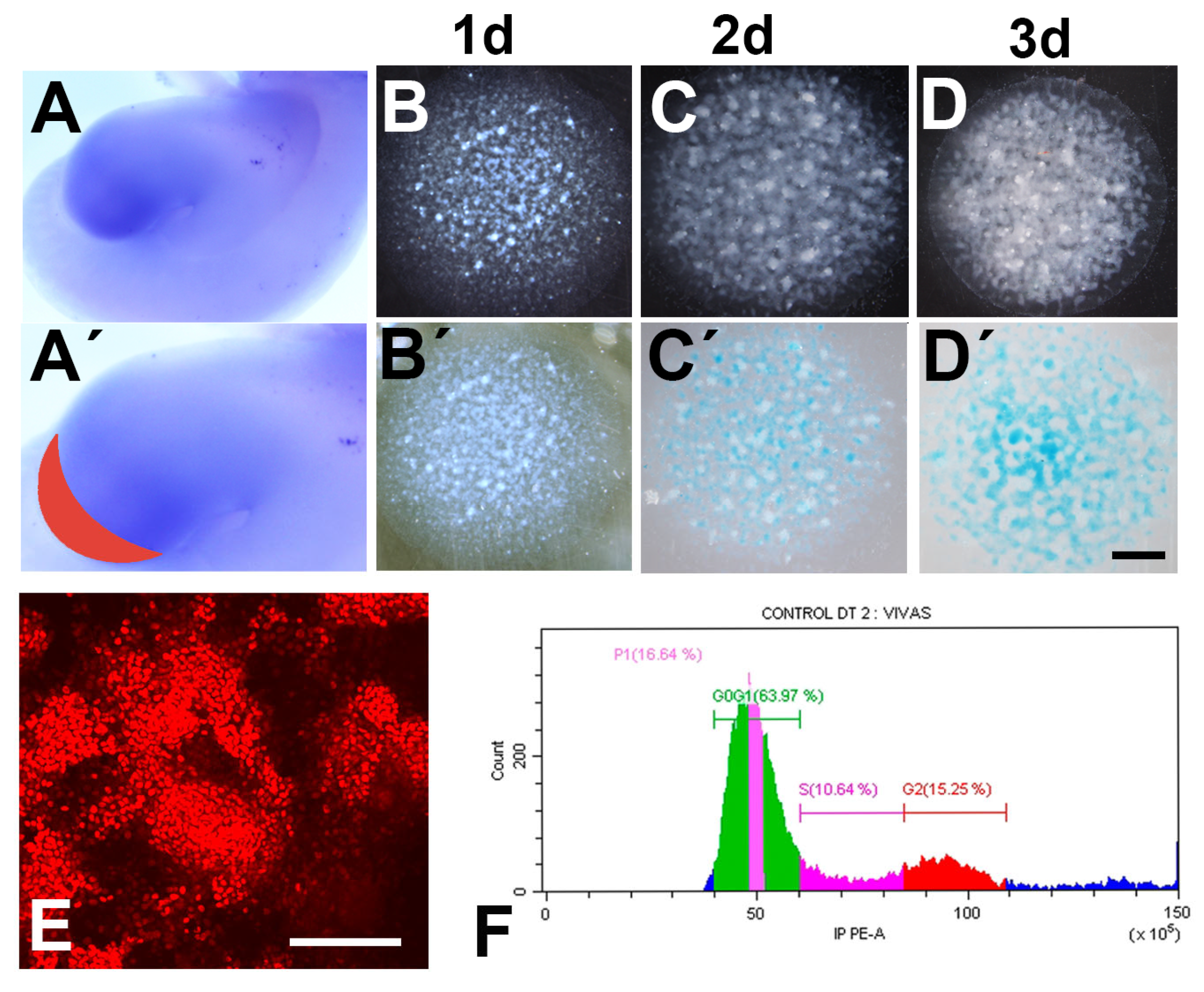 Cells 12 00175 g001 Cells 12 00175 g001
