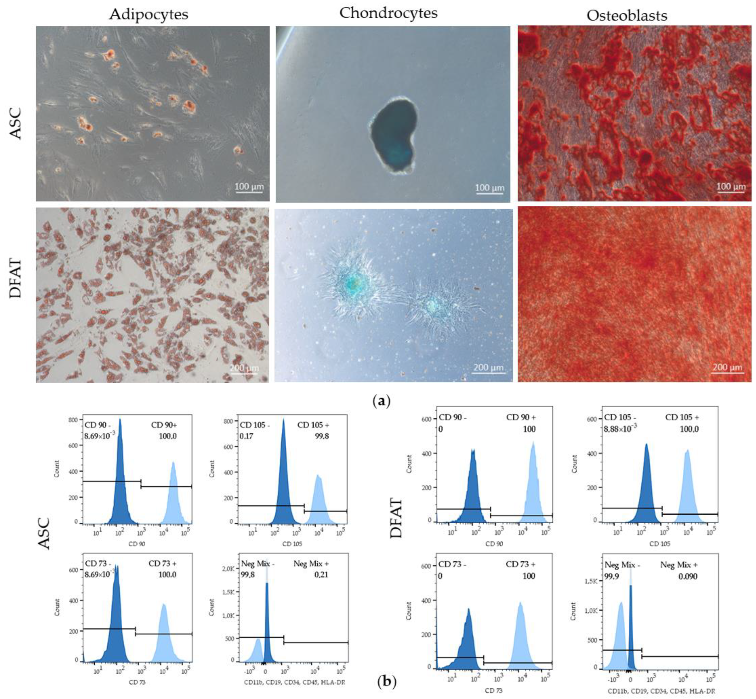 Cells 12 00178 g002 Cells 12 00178 g002