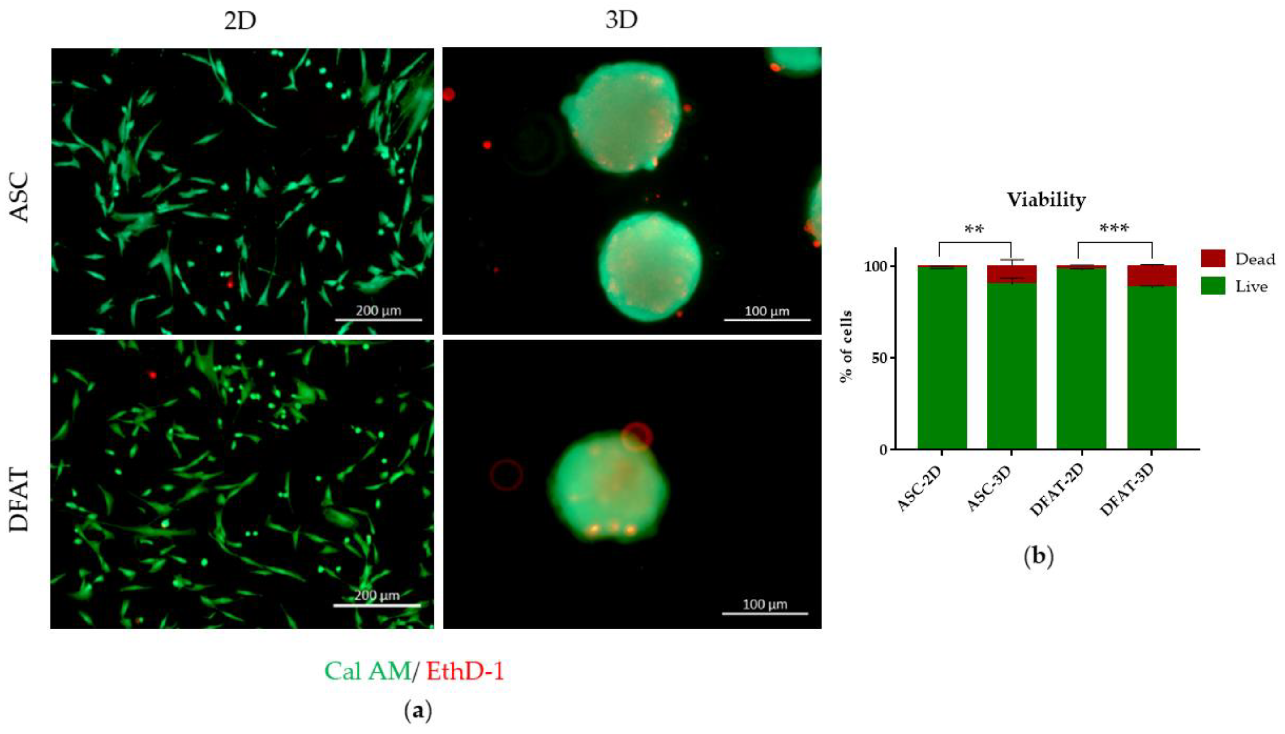 Cells 12 00178 g004 Cells 12 00178 g004