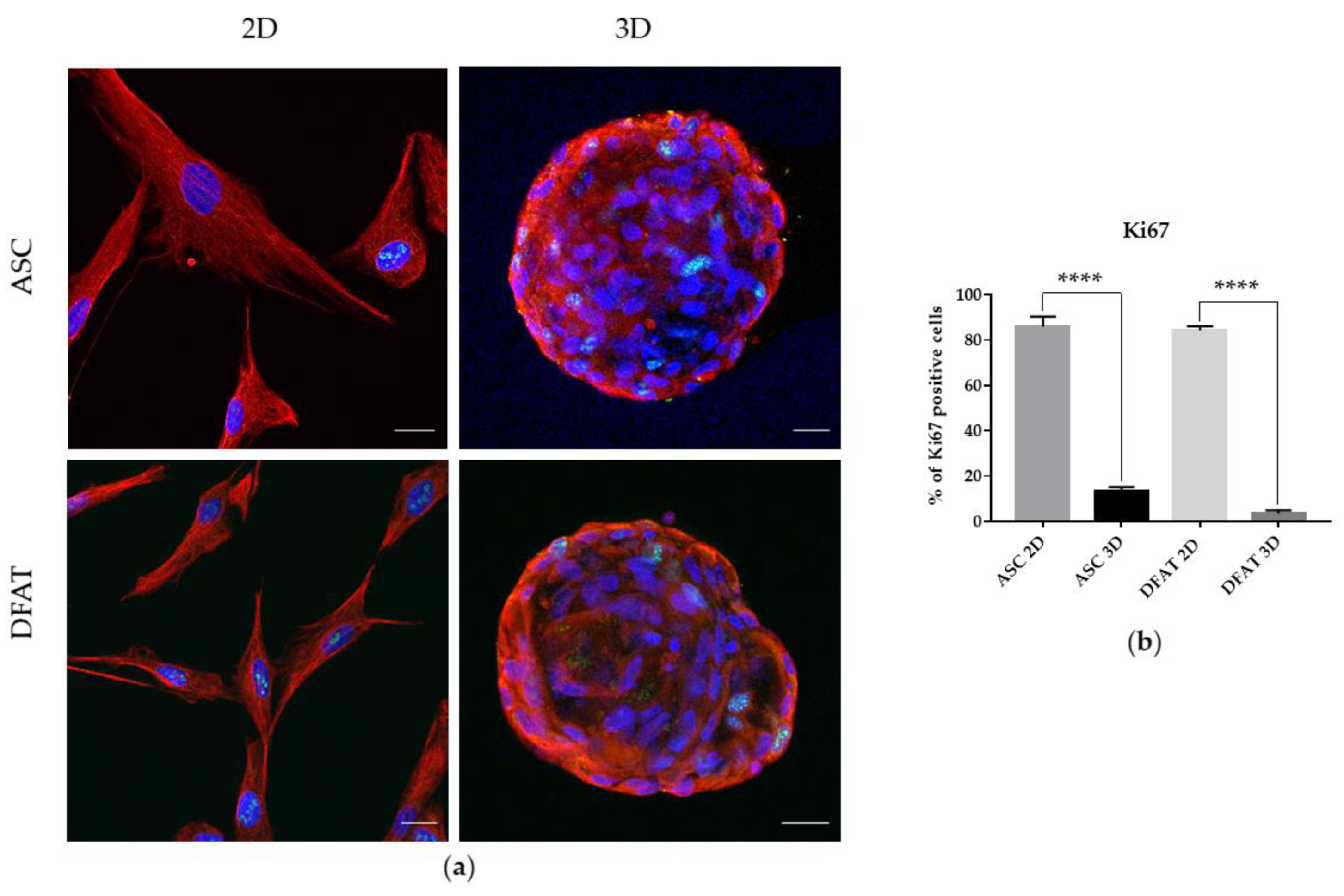 Cells 12 00178 g005 Cells 12 00178 g005