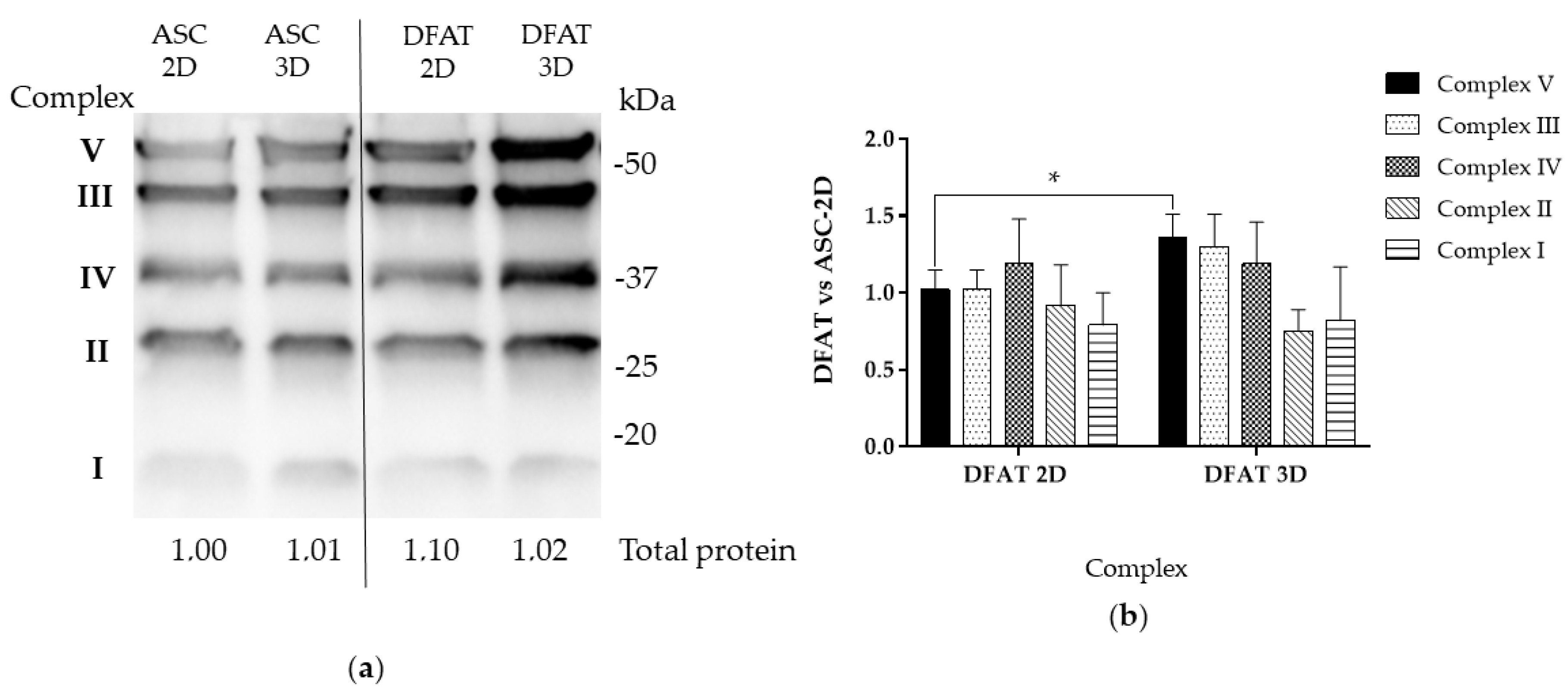 Cells 12 00178 g010 Cells 12 00178 g010