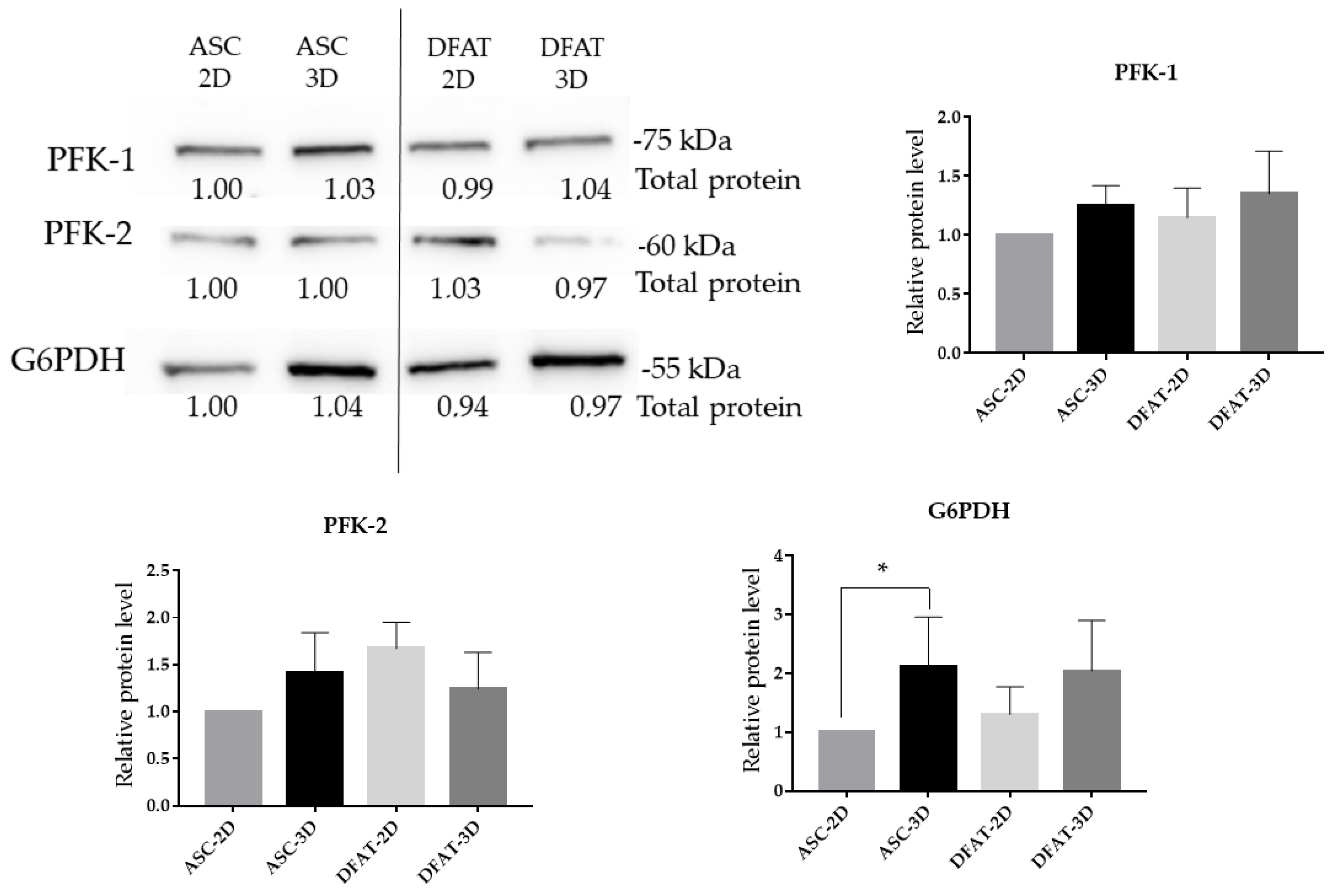 Cells 12 00178 g013 Cells 12 00178 g013
