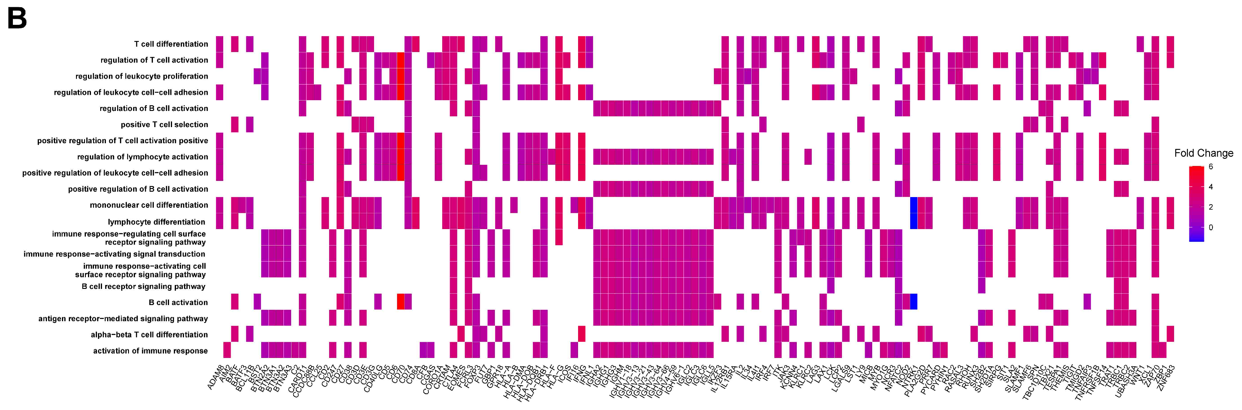 Cells 12 00180 g005b