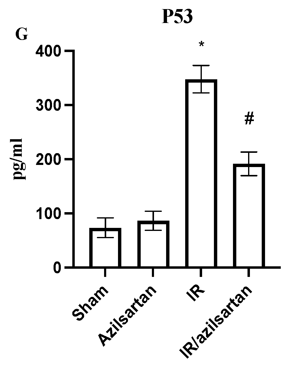 Cells 12 00185 g002b