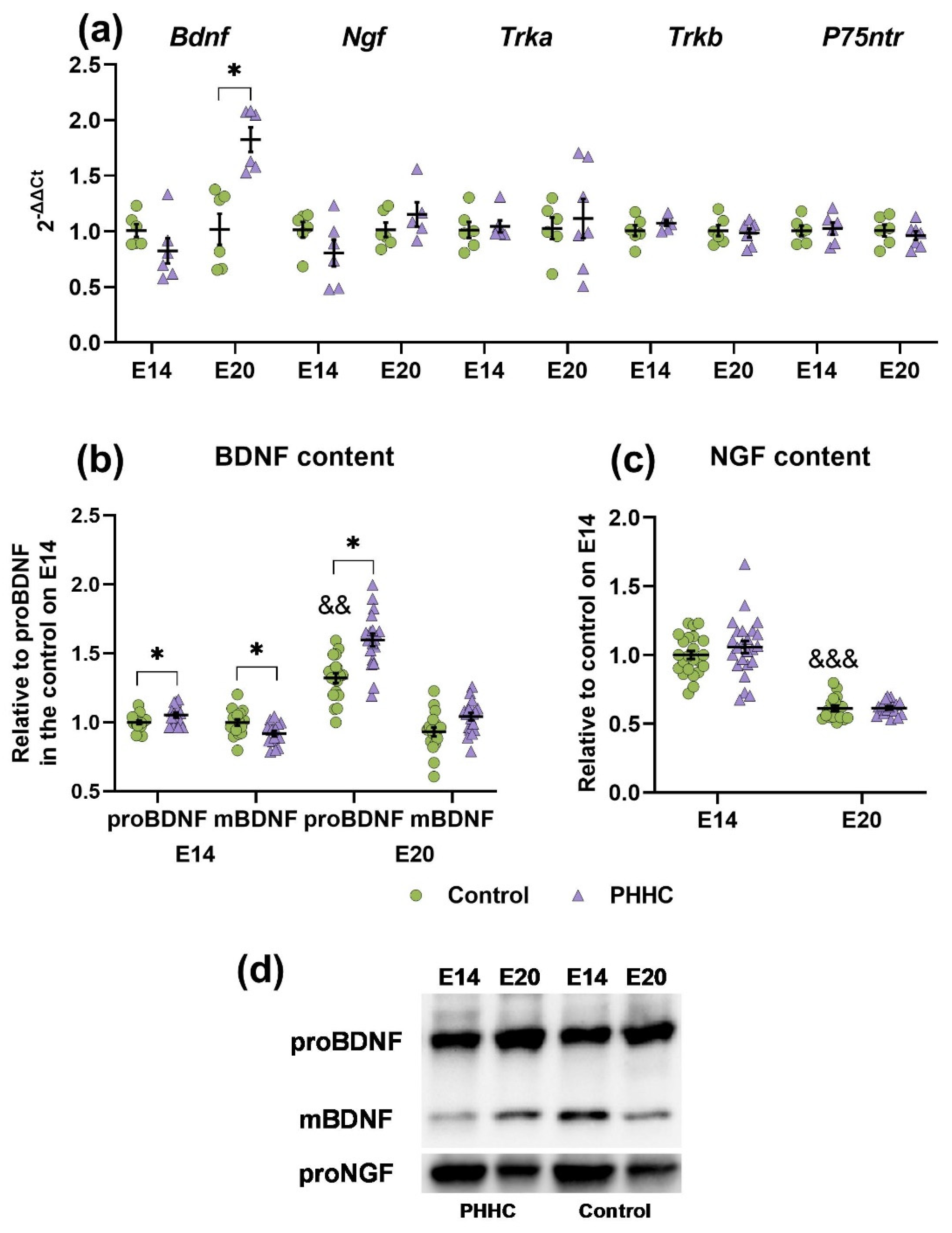 Cells 12 00189 g007 Cells 12 00189 g007